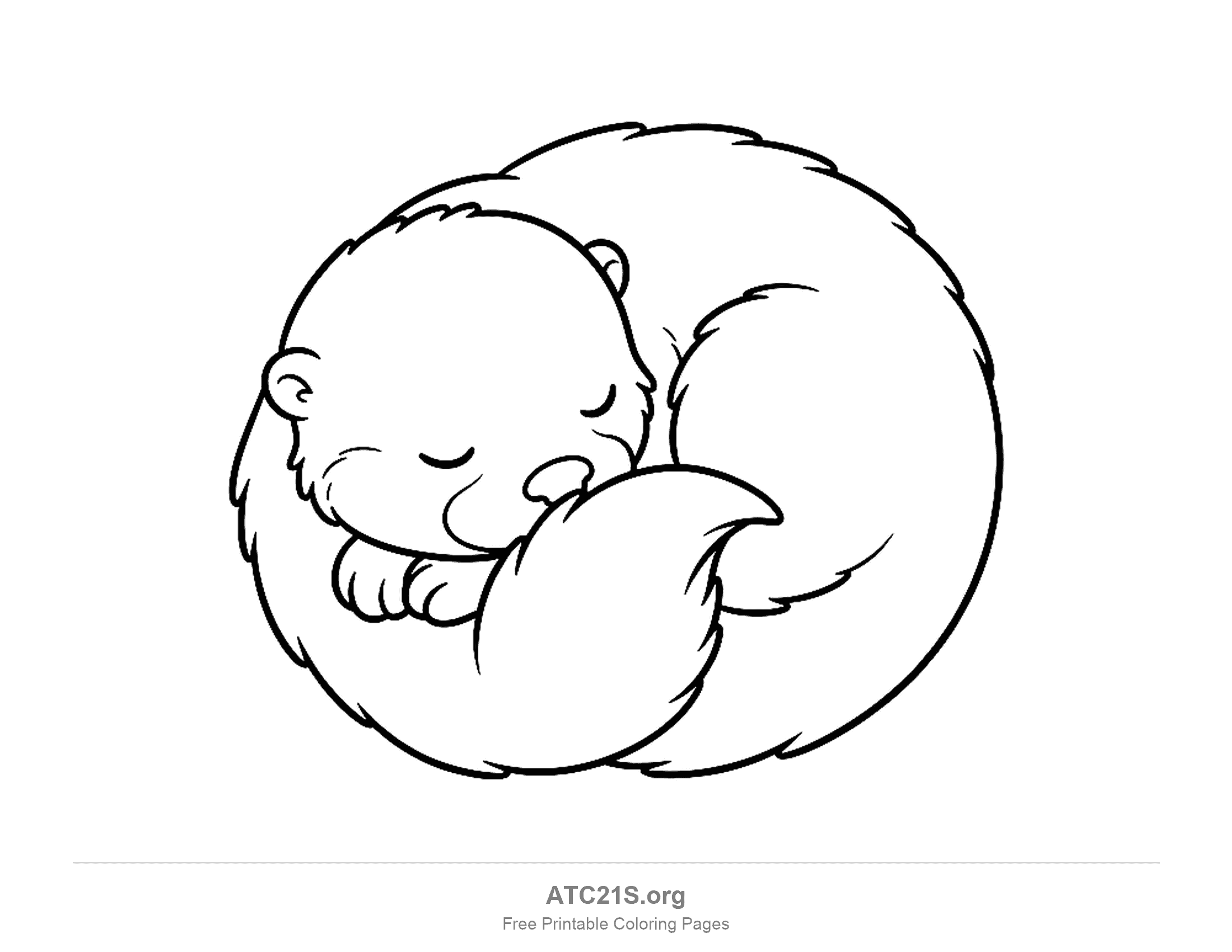 Sleeping otter curled into a round ball with its fluffy tail wrapped around, eyes closed and paws tucked in, coloring page to print
