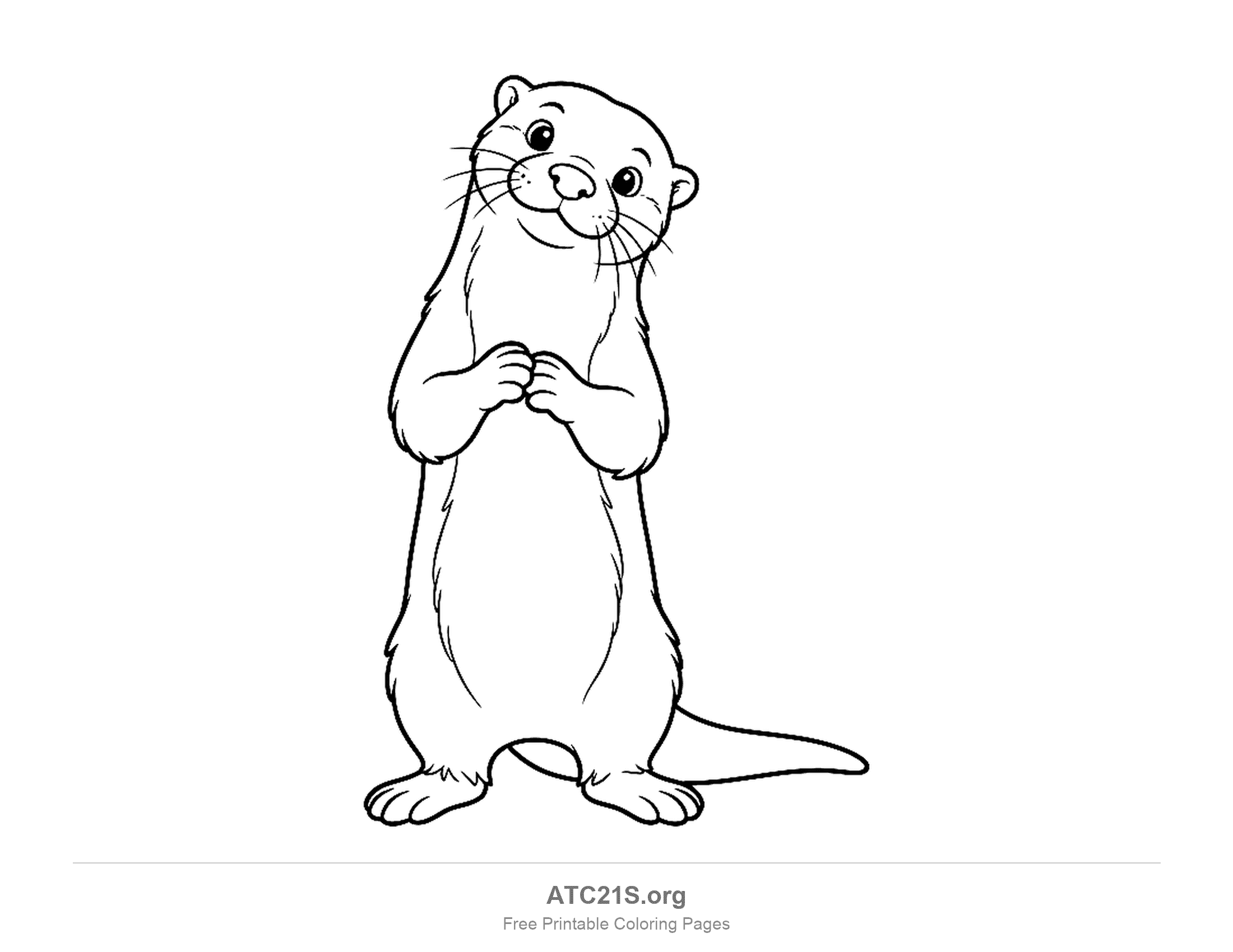 Cute otter standing upright on its hind legs with paws clasped together, round eyes, whiskers and a long tail, printable coloring page