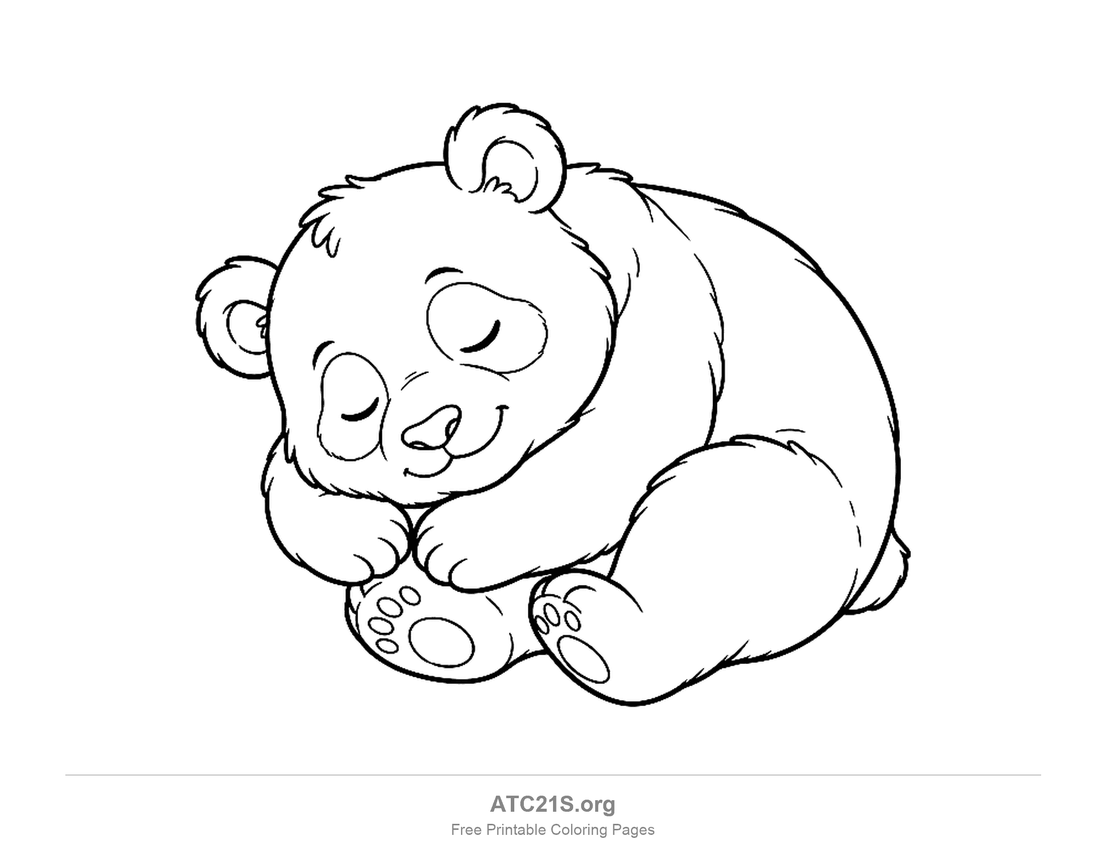 Sleeping panda cub curled up with closed eyes and paws tucked under its chin, coloring page for kids