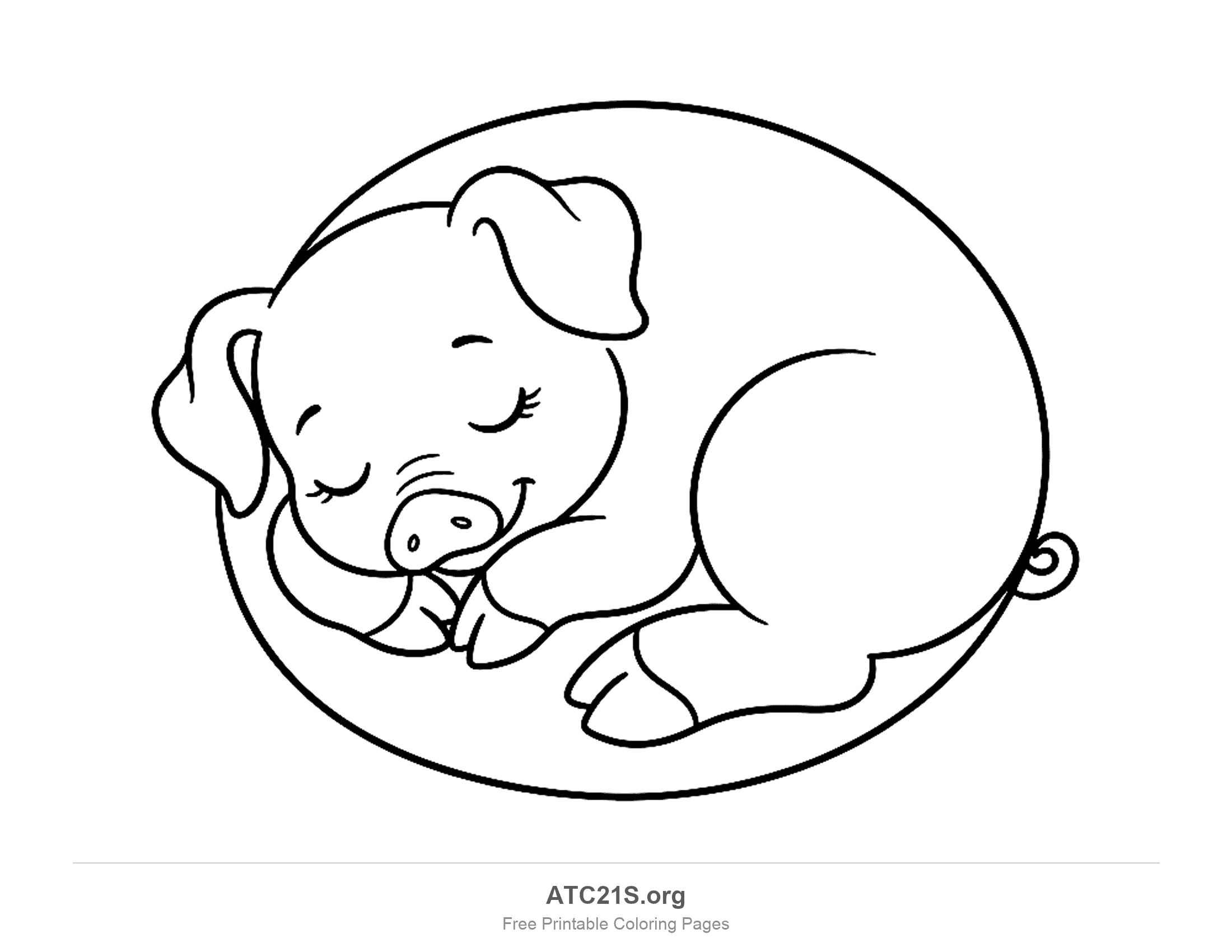 Pig sleeping curled into a ball with closed eyes, its head resting on its hooves and a curly tail, simple coloring page for preschoolers