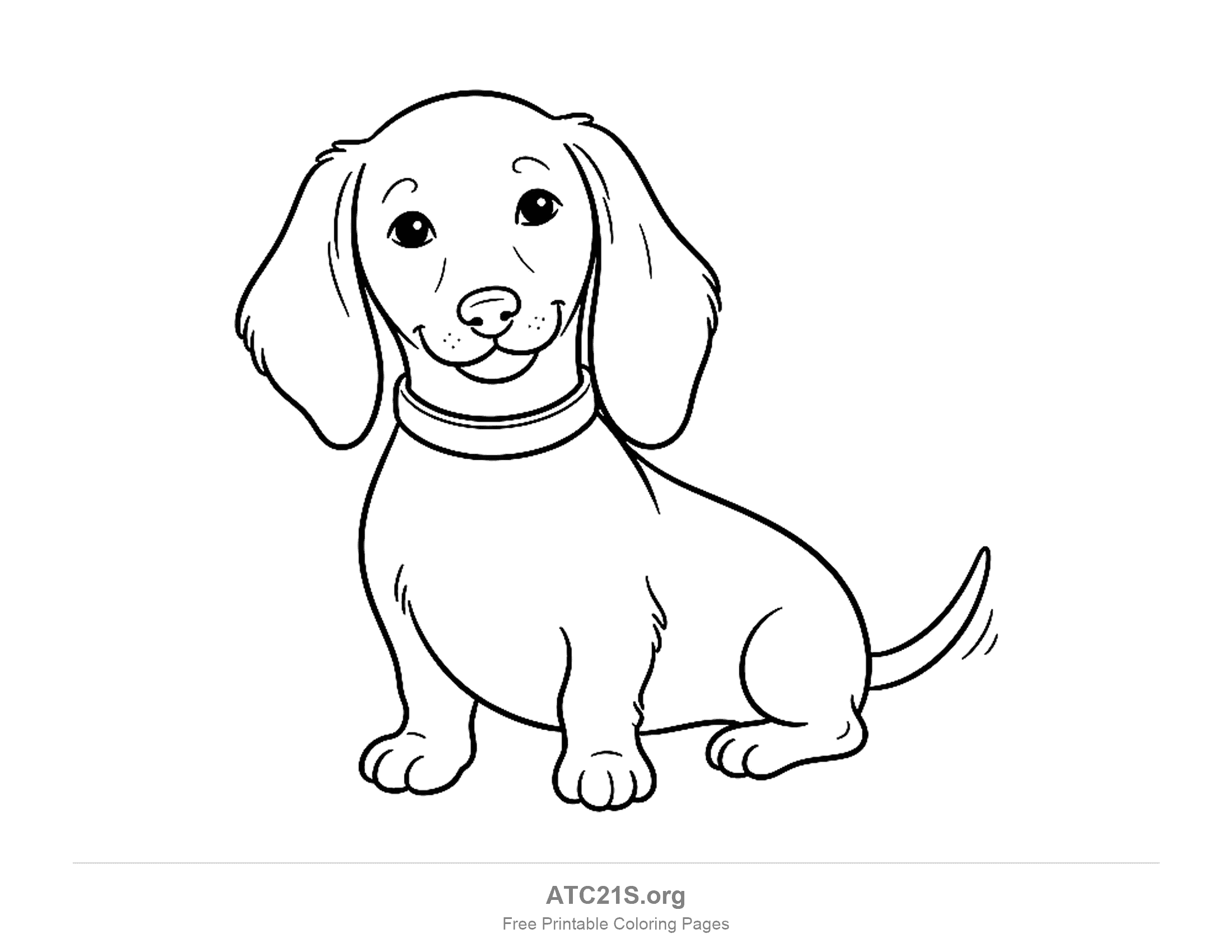 Puppy