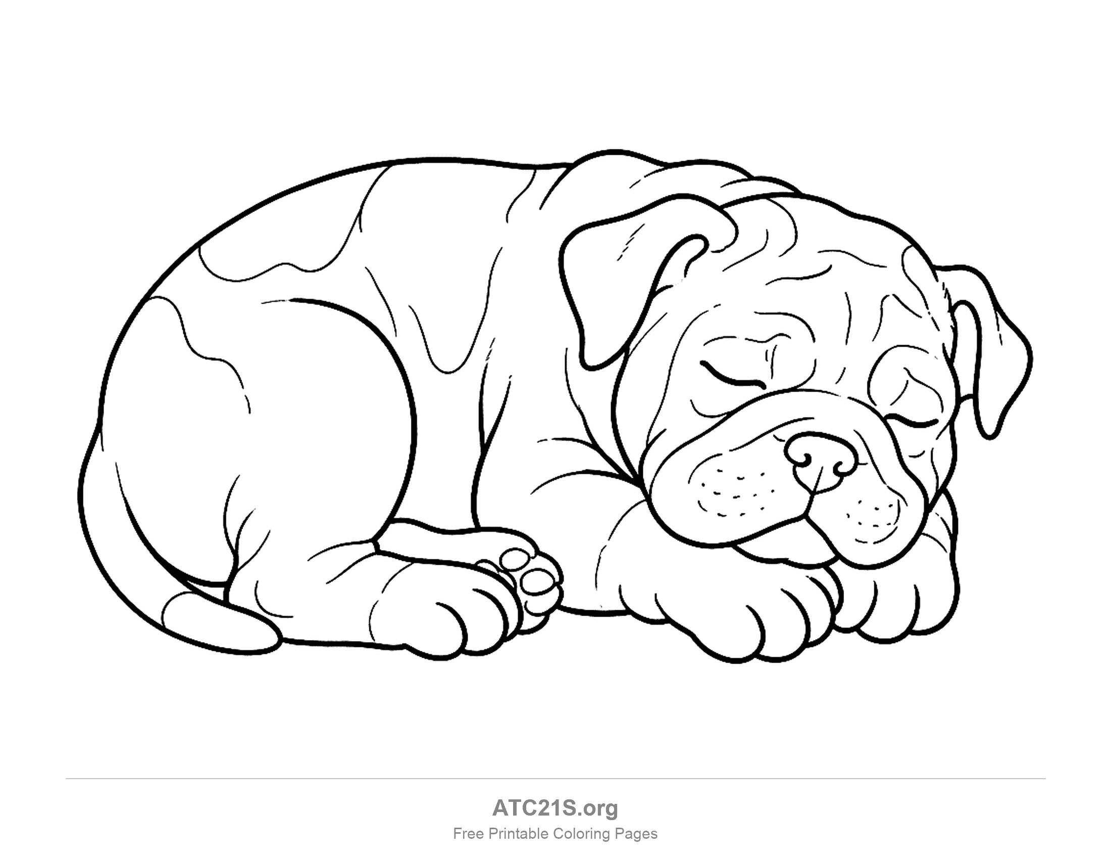 Sleeping wrinkly puppy lying on its side with its eyes closed, folded face and paws tucked under, detailed coloring page for older kids