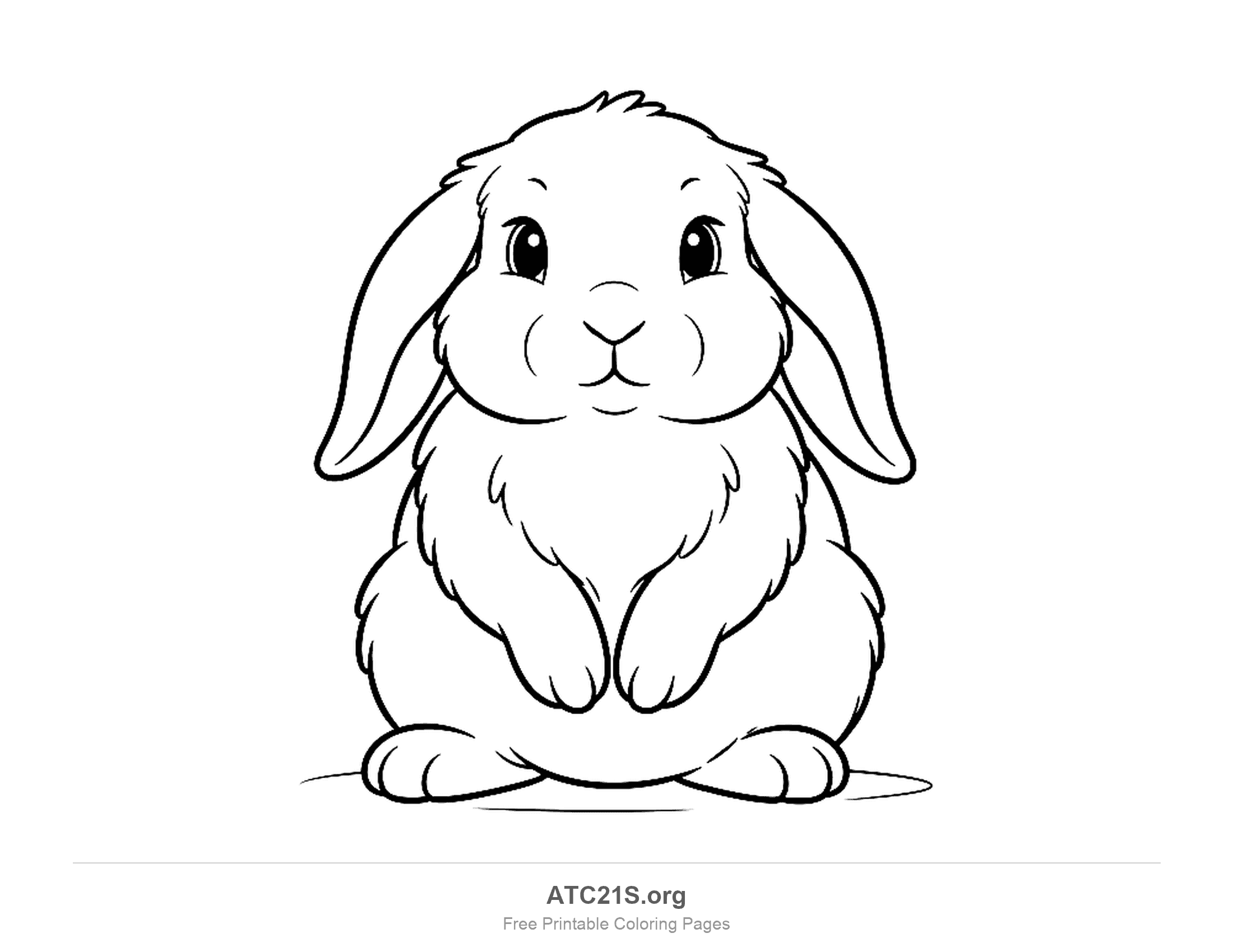 Cute lop rabbit sitting front-on with long floppy ears hanging down and front paws together, coloring page to print