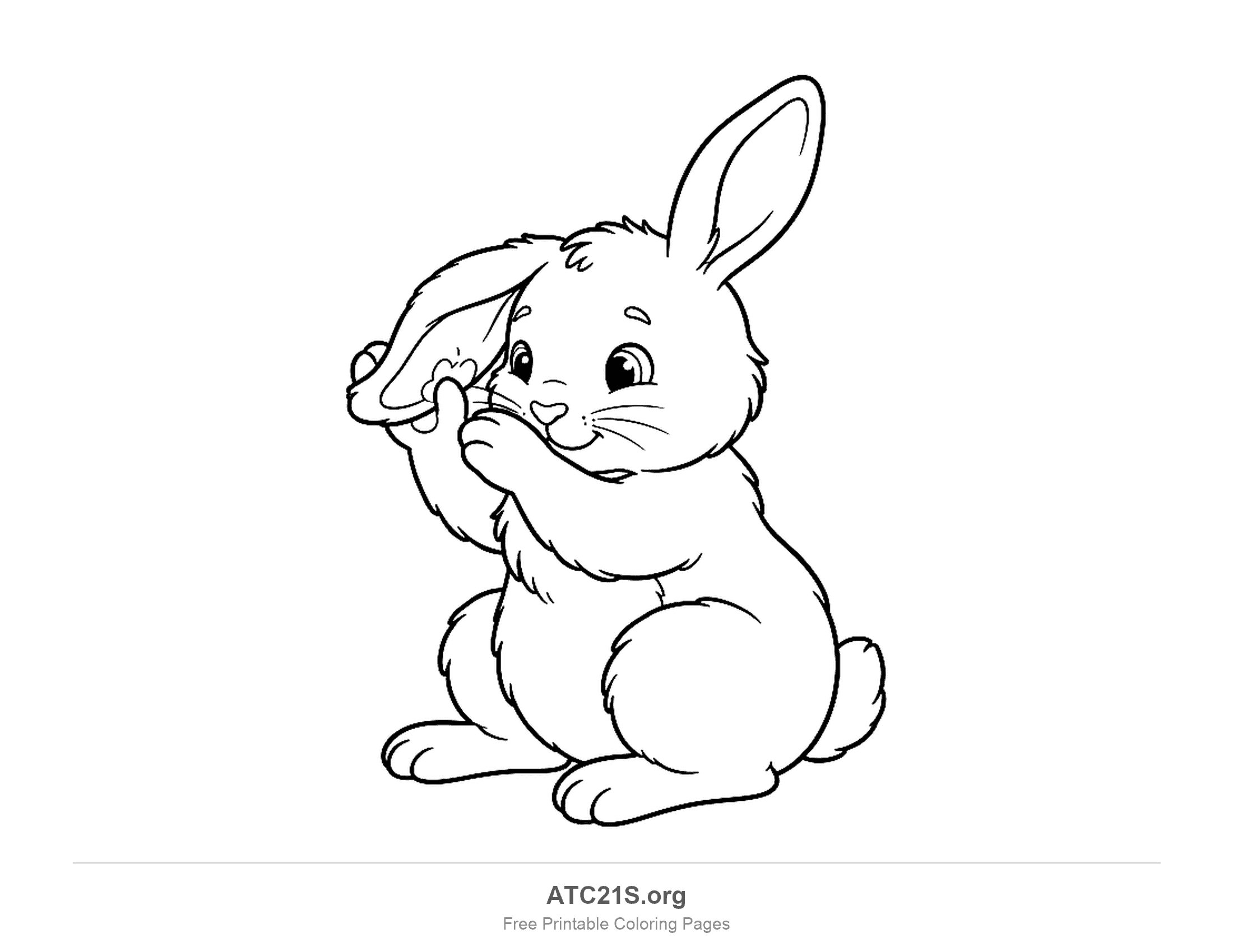 Rabbit sitting and washing one floppy ear with both front paws while the other ear stands up, detailed coloring page