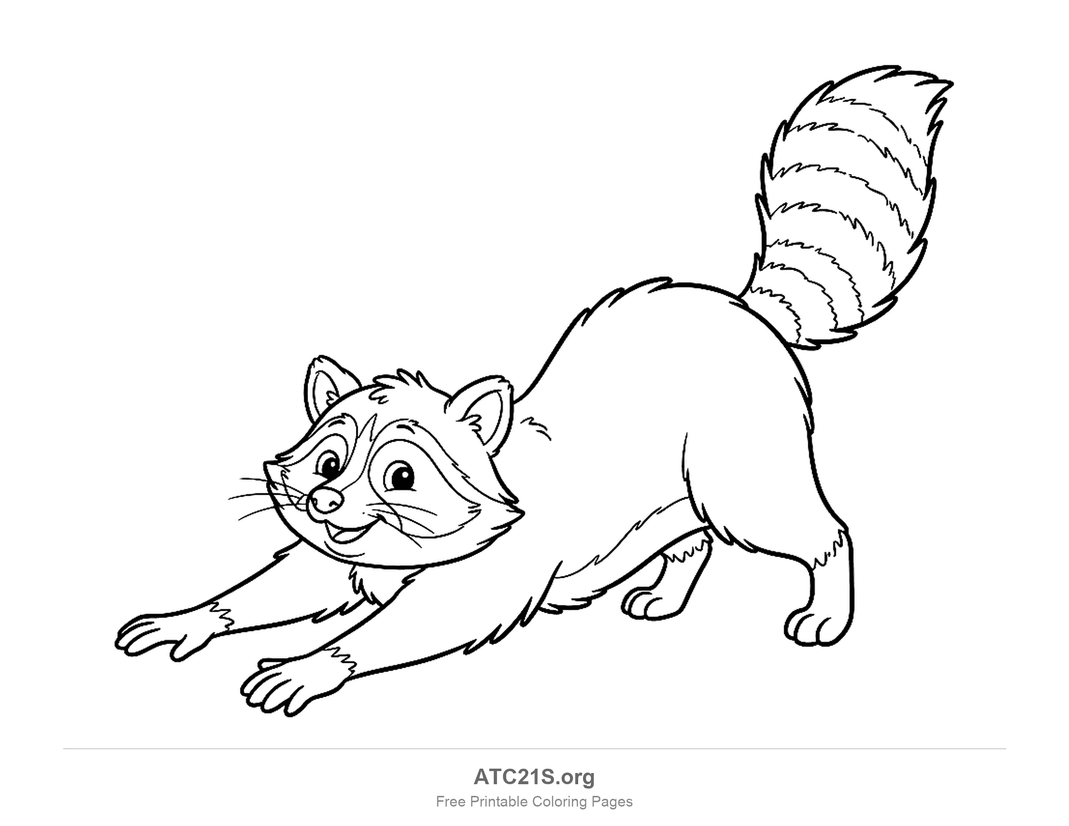 Playful raccoon stretching in a play-bow with front paws forward and a striped tail raised, coloring page for older kids