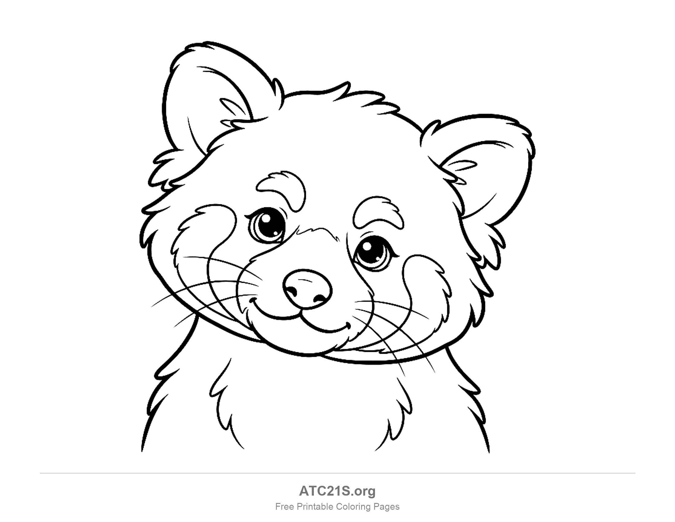 Detailed close-up of a red panda's face with fluffy fur, whiskers and large eyes, coloring page for older kids