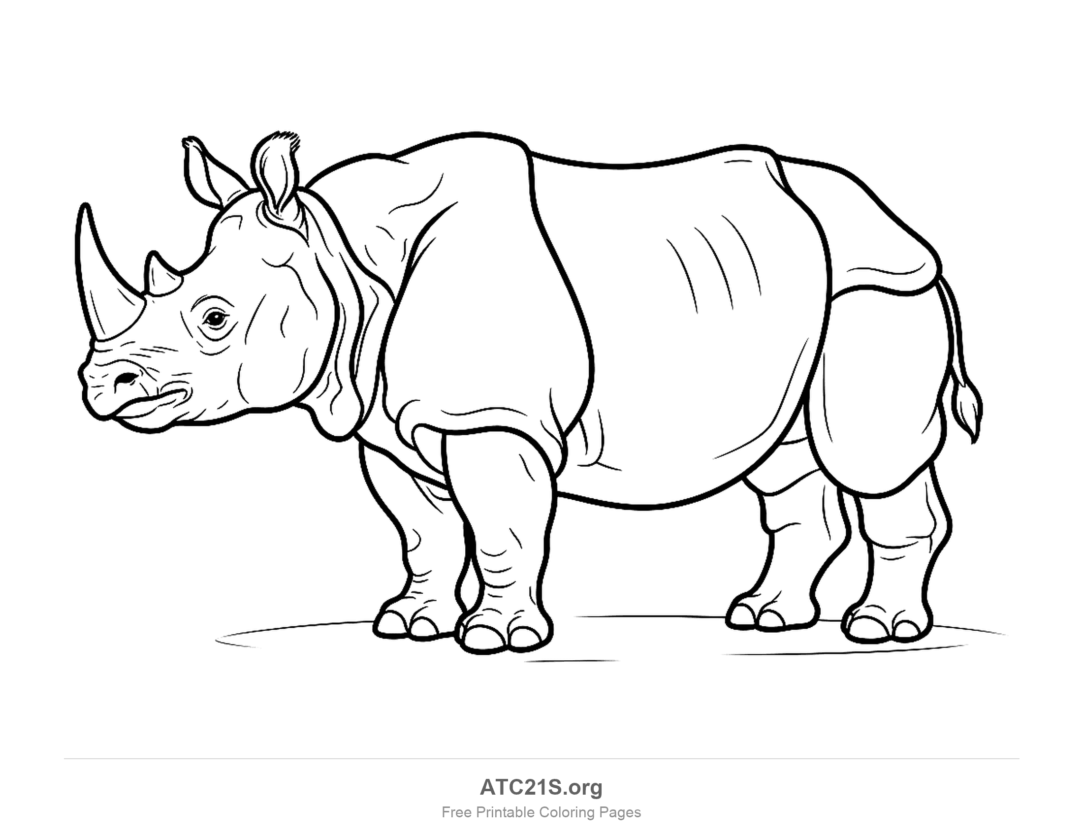 Indian rhino standing in side profile with one horn and thick armour-like skin folds, detailed coloring page