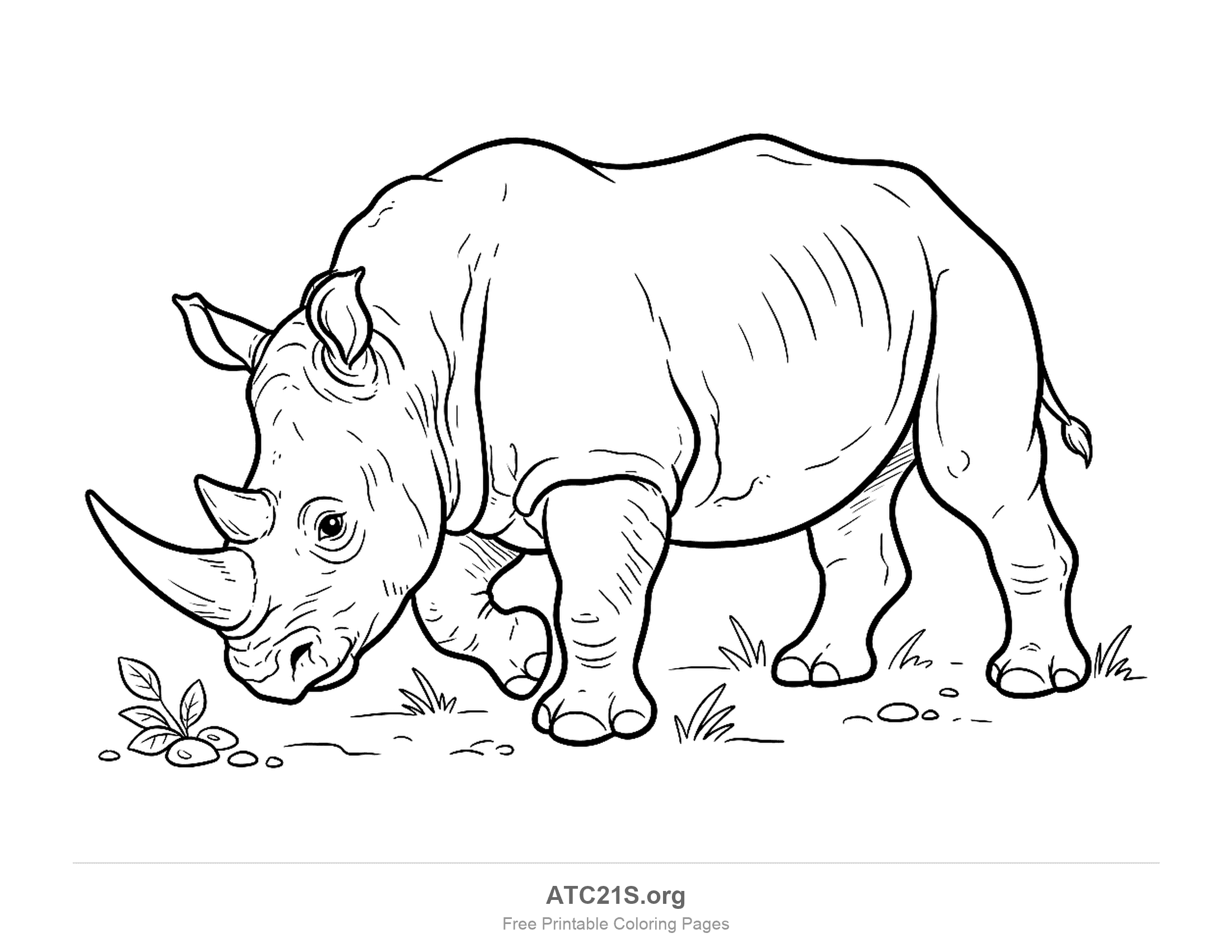 Detailed rhino grazing with its head down toward a small plant, standing in grass with two horns and wrinkled skin, coloring page for older kids