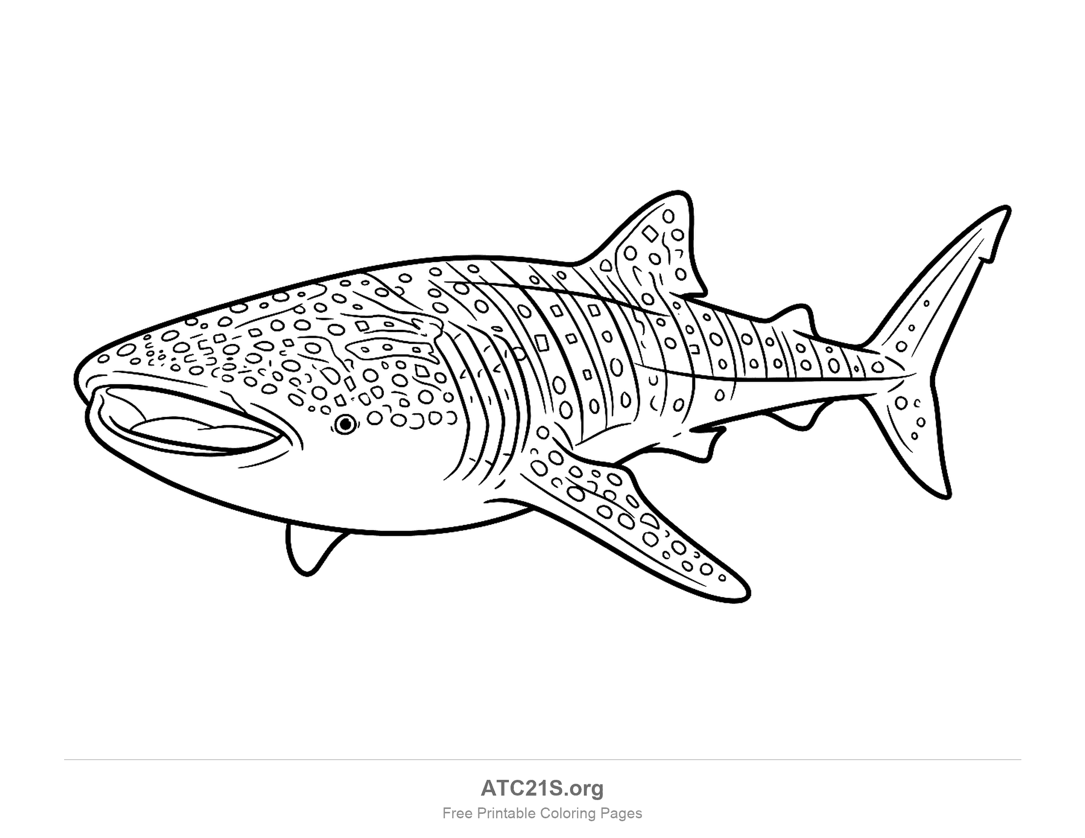 Detailed whale shark swimming with its mouth open, covered in spots, stripes and checkerboard patterns, coloring page for older kids