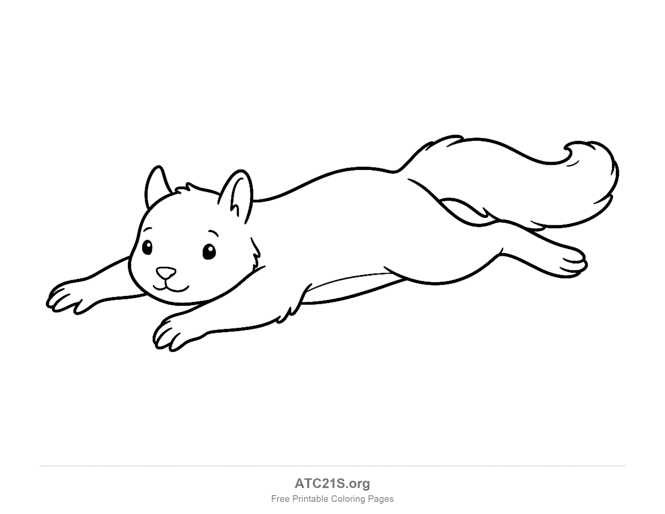 Squirrel