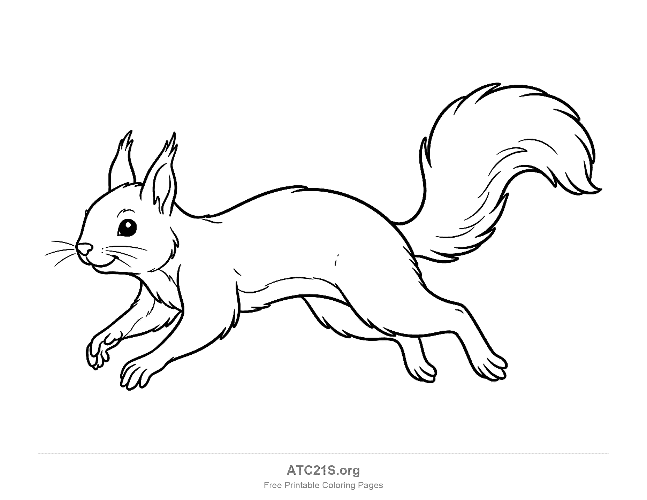 Squirrel running on all fours with tufted ears, whiskers and a bushy tail held high, coloring page