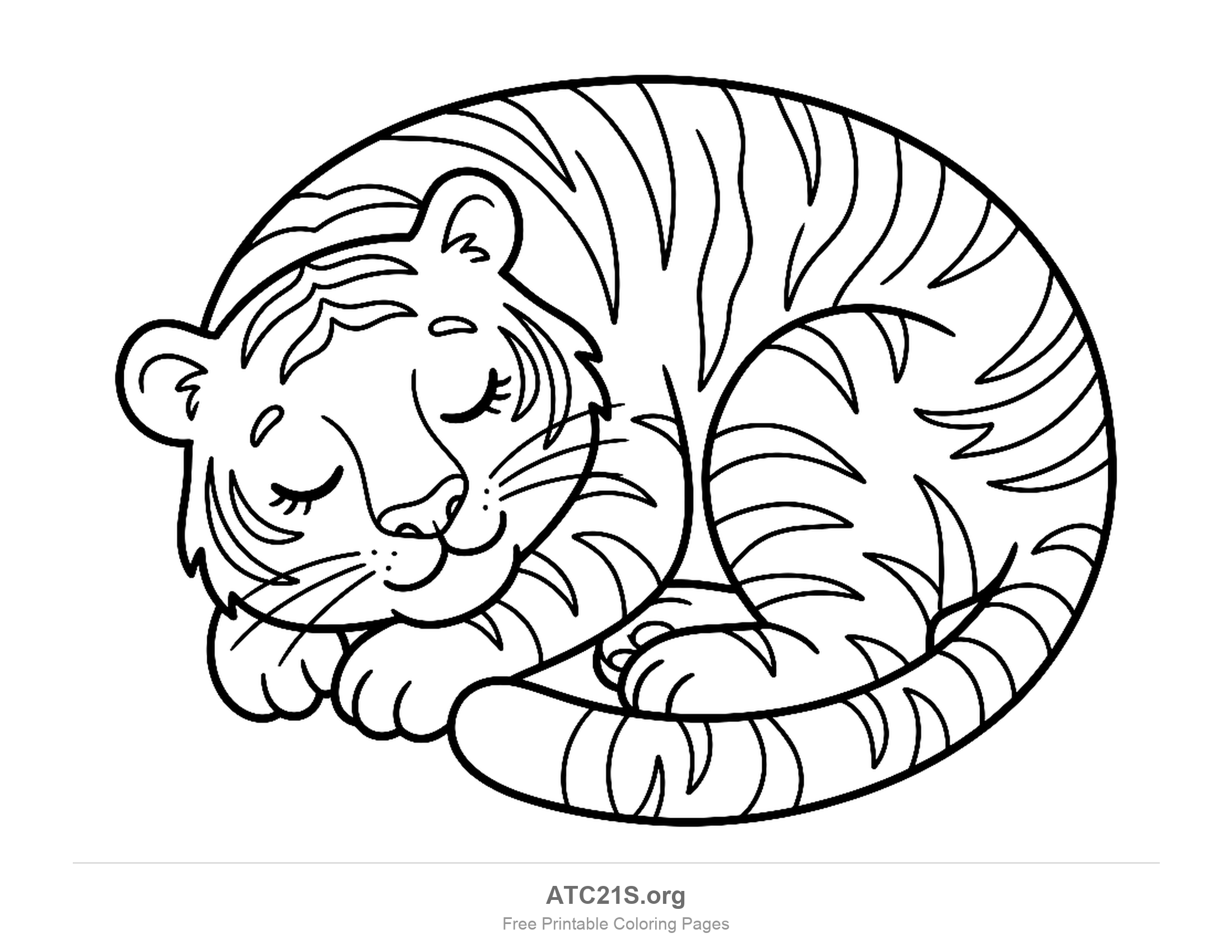 Tiger curled up asleep in a circle with its eyes closed and tail wrapped around, coloring page to print