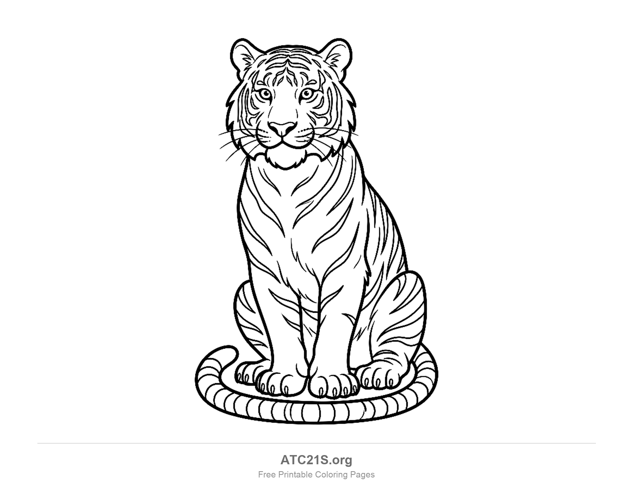 Realistic tiger sitting upright facing forward with its tail curled around its paws, detailed coloring page