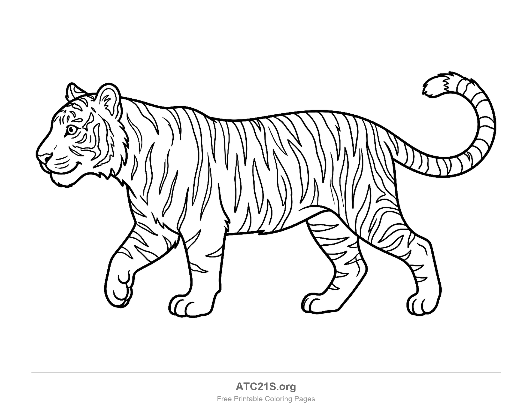 Detailed adult tiger walking in side view with finely striped fur and a raised tail, coloring page for older kids