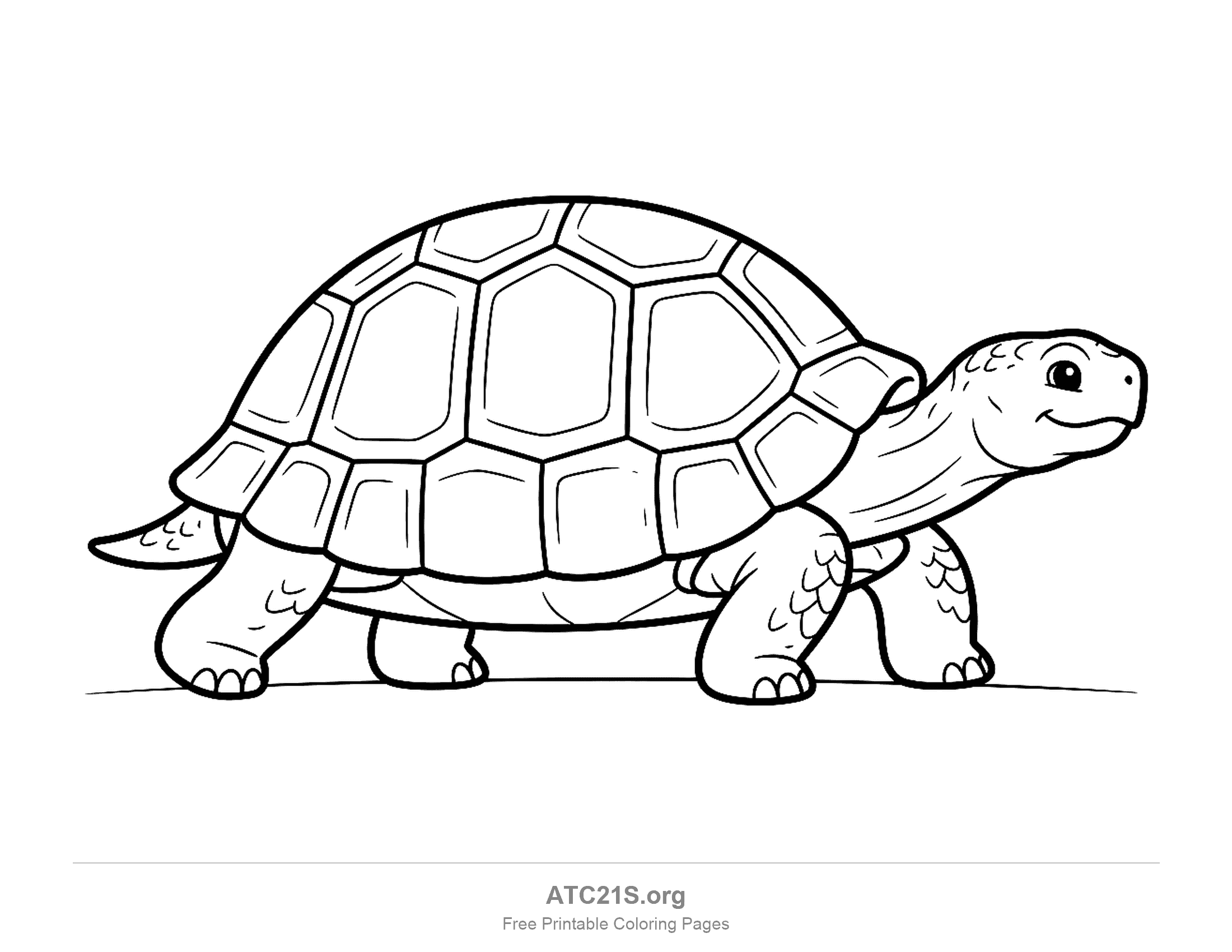 Land tortoise walking in profile with a high hexagonal shell, scaly legs and a small smile, coloring page to print