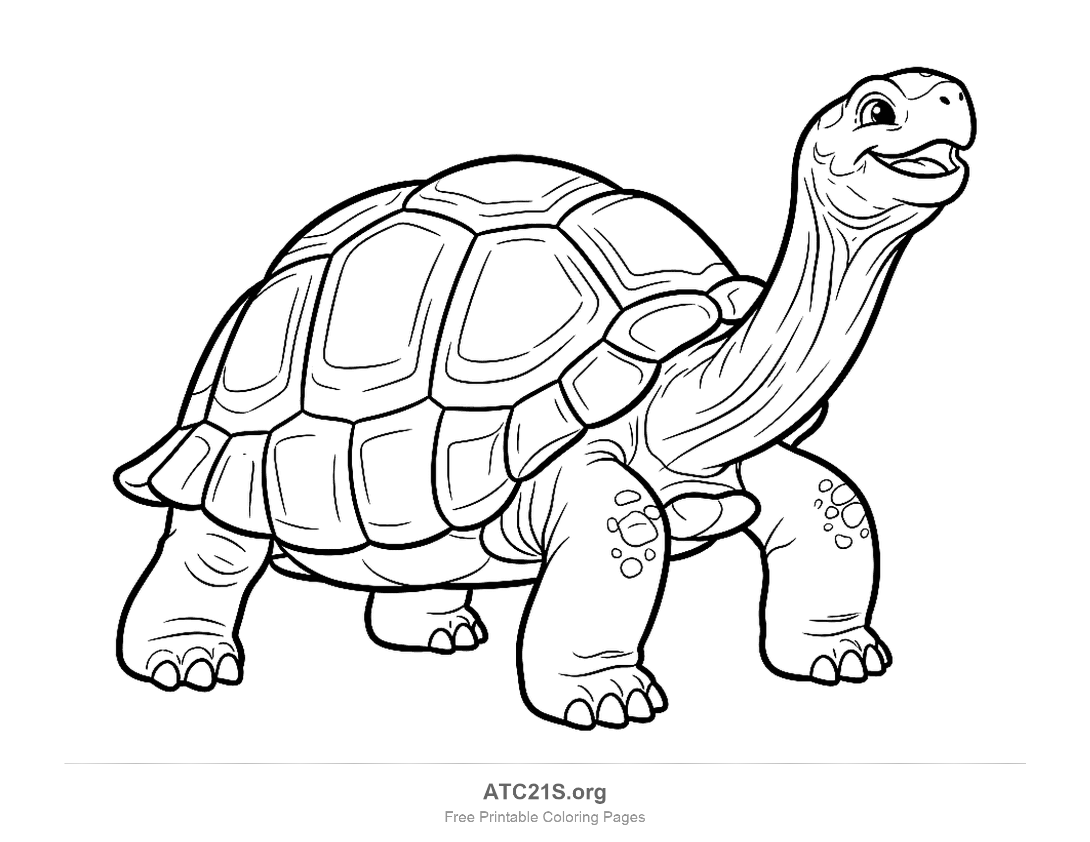 Giant tortoise standing with a long raised neck, a high domed shell and thick scaly legs, detailed coloring page for older kids