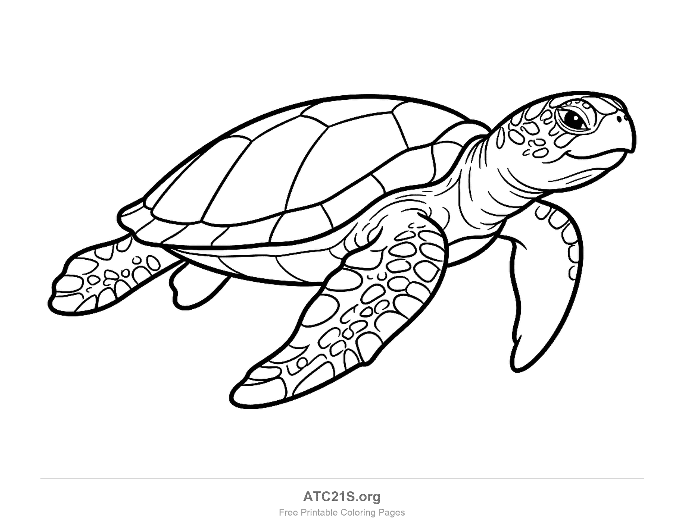 Sea turtle swimming in profile with spotted flippers and a patterned shell, detailed coloring page for older kids