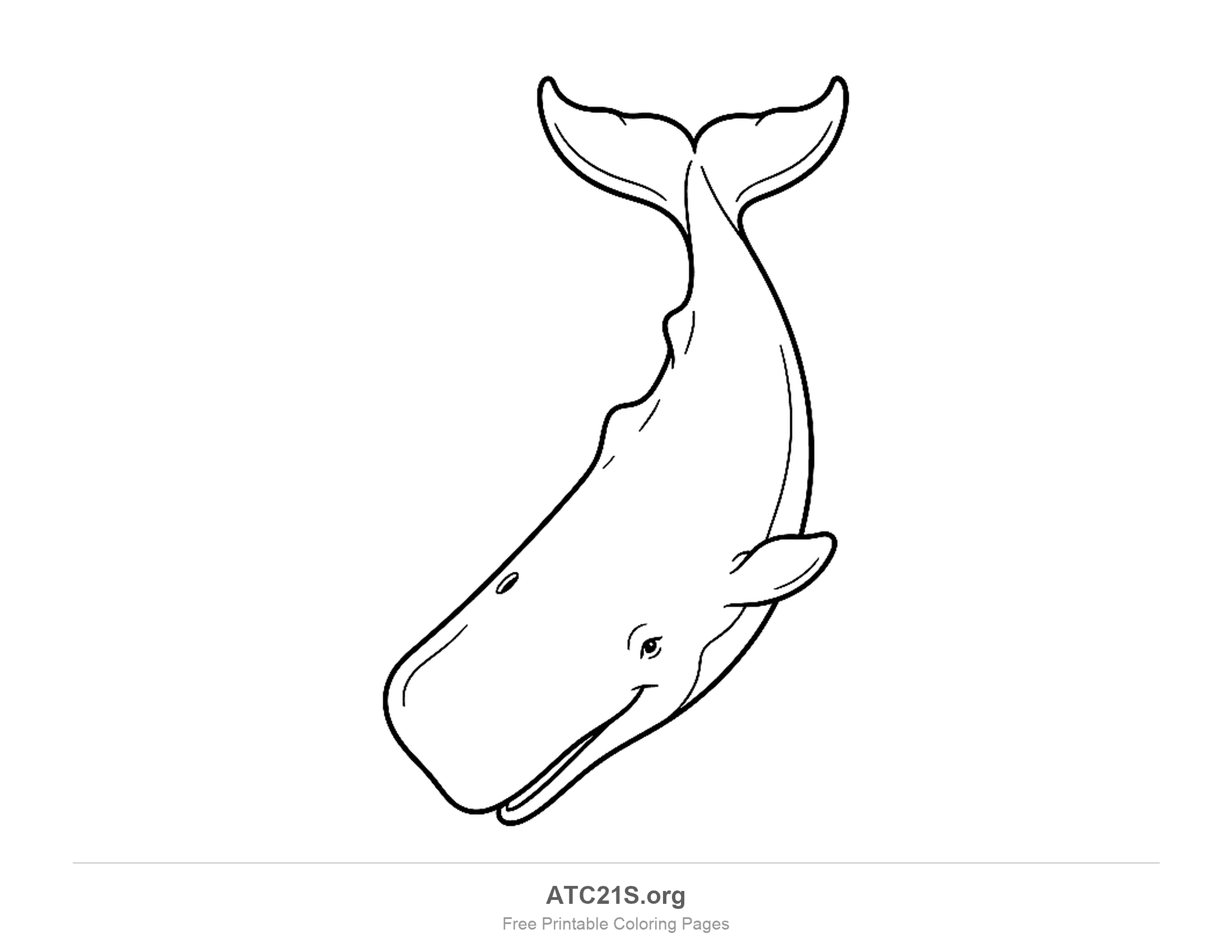 Simple whale diving head-down with a blocky square head, a small smile and its tail fluke at the top, easy coloring page for kids