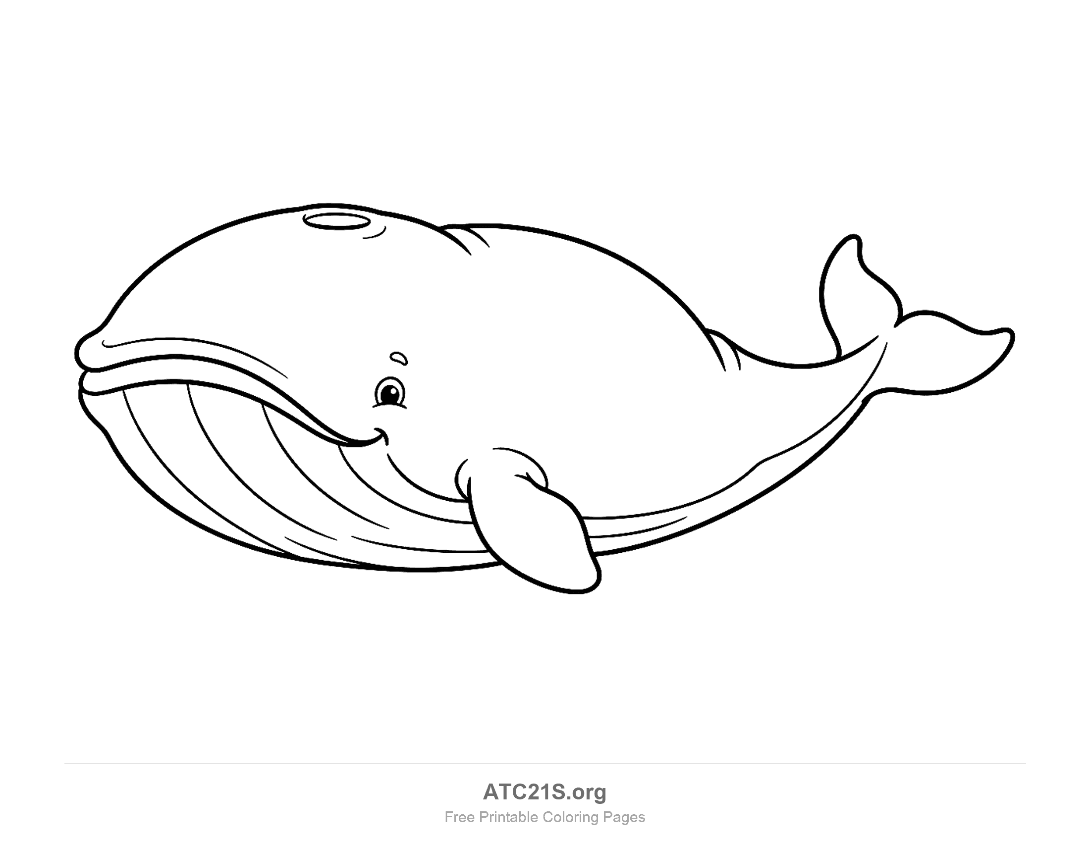 Chubby smiling whale swimming with throat grooves, a visible blowhole and a small tail, coloring page for kids