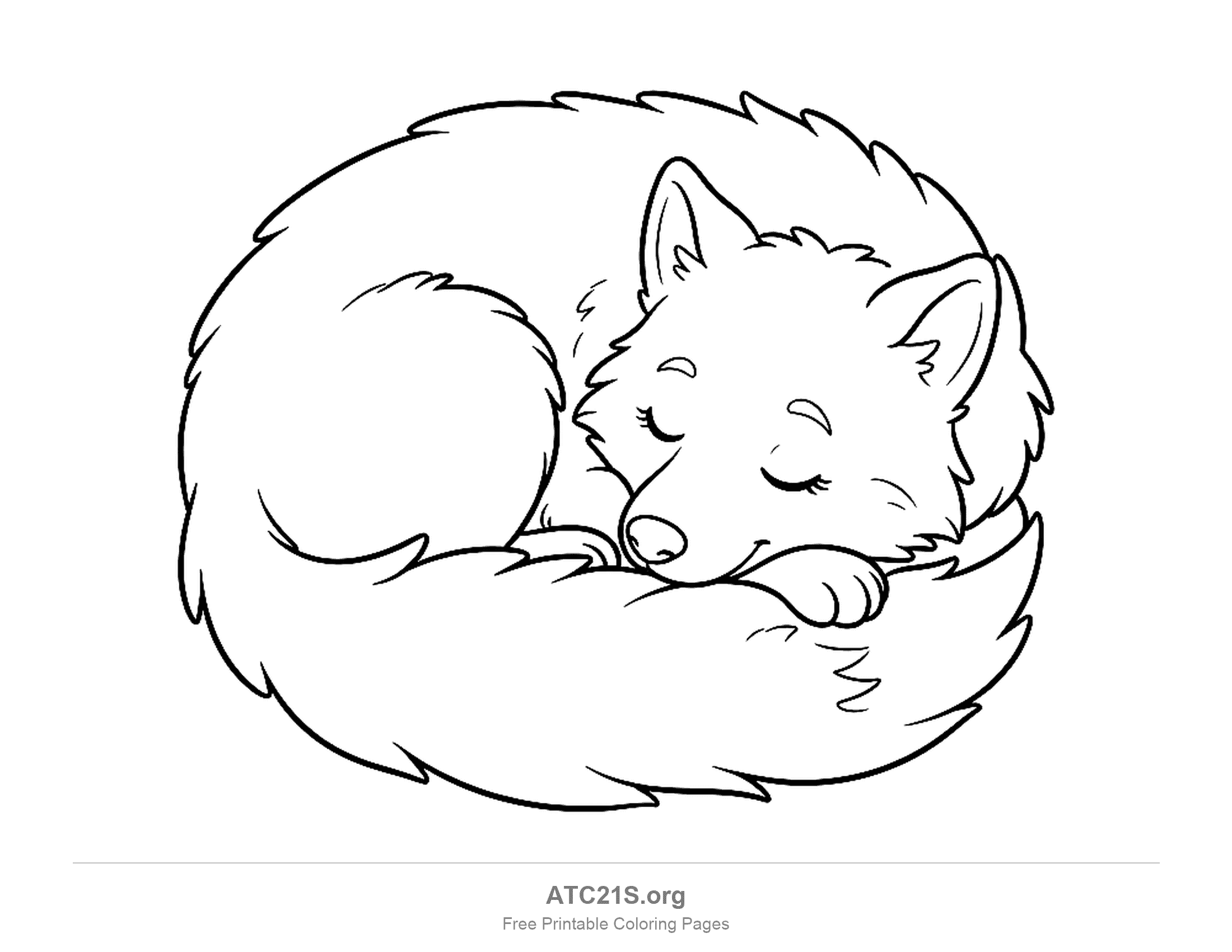 Wolf curled into a ball asleep with its fluffy tail wrapped around its body and eyes closed, coloring page for toddlers