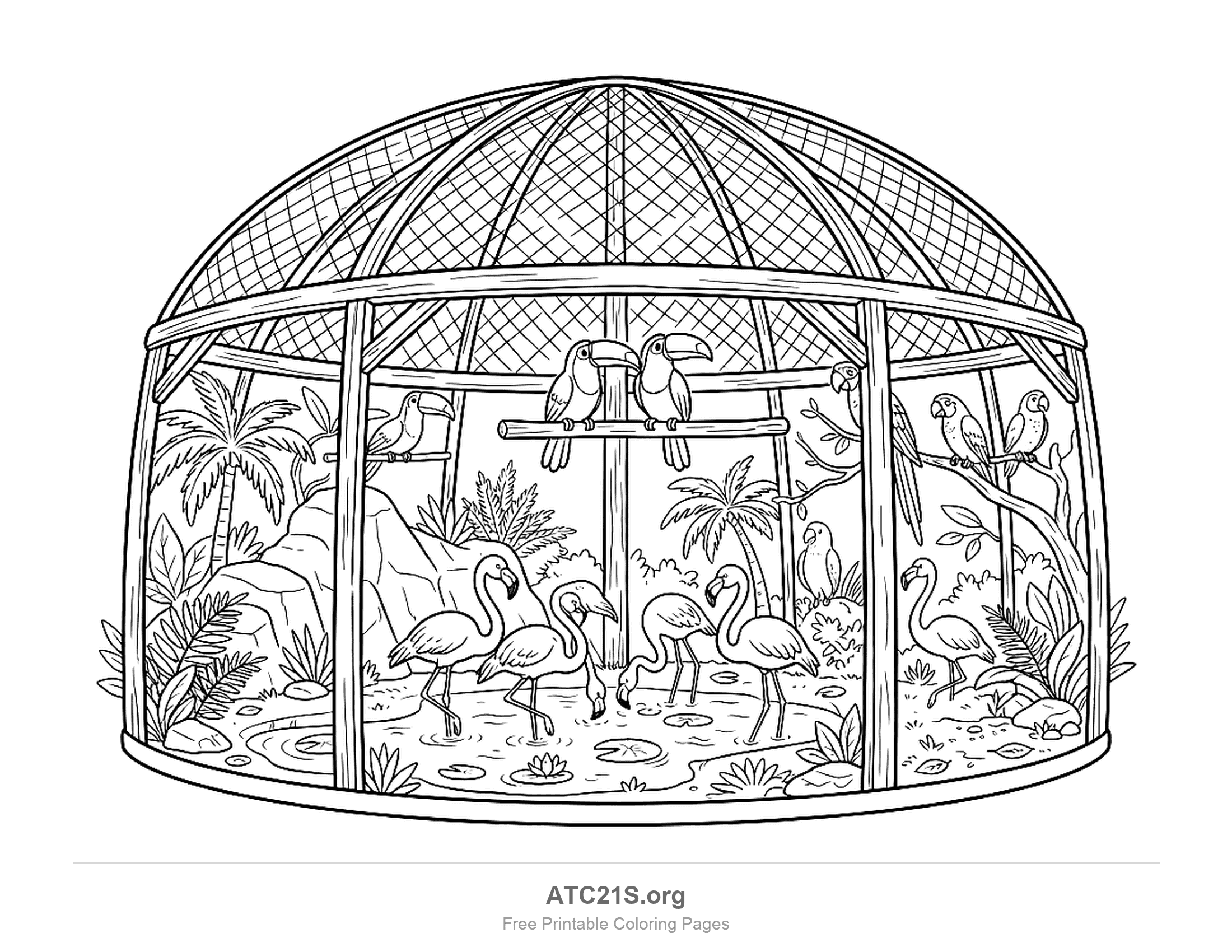 Detailed tropical zoo aviary with a mesh dome, flamingos in a pond, toucans and parrots on perches, palm trees and water lilies, coloring page for older kids