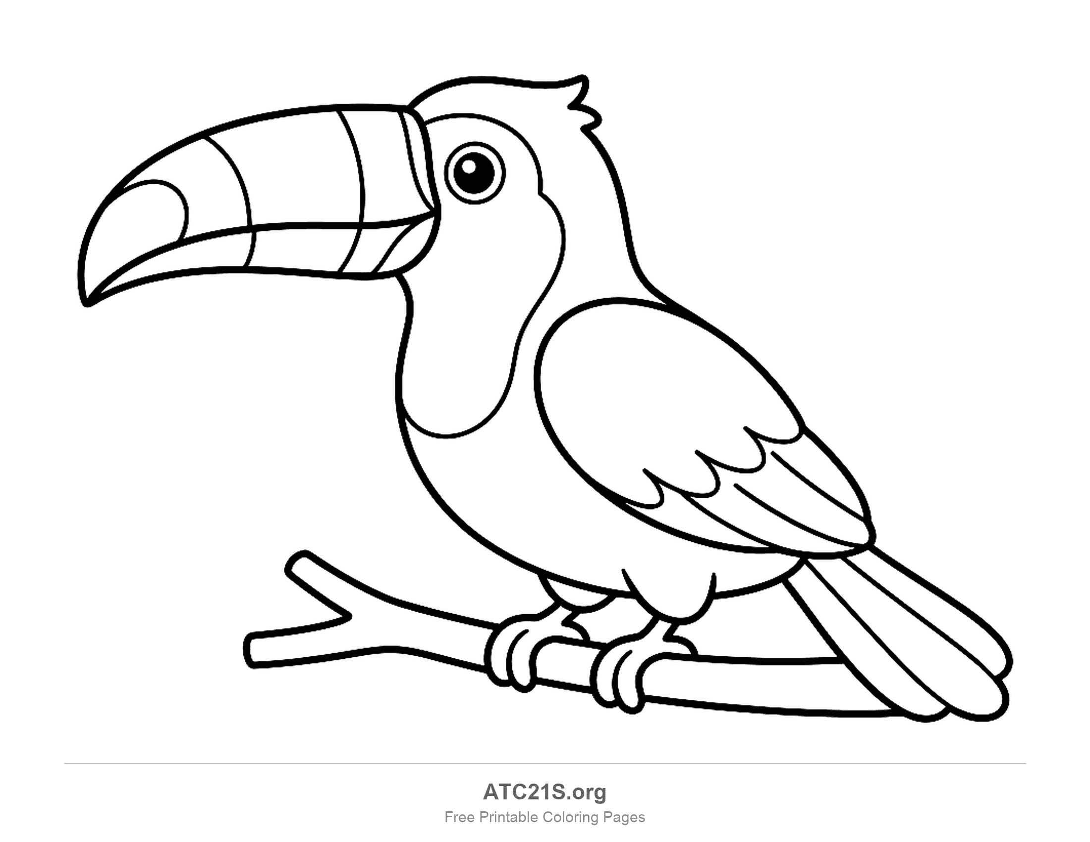 Toucan perched on a branch with a large banded beak and folded wings, printable coloring page