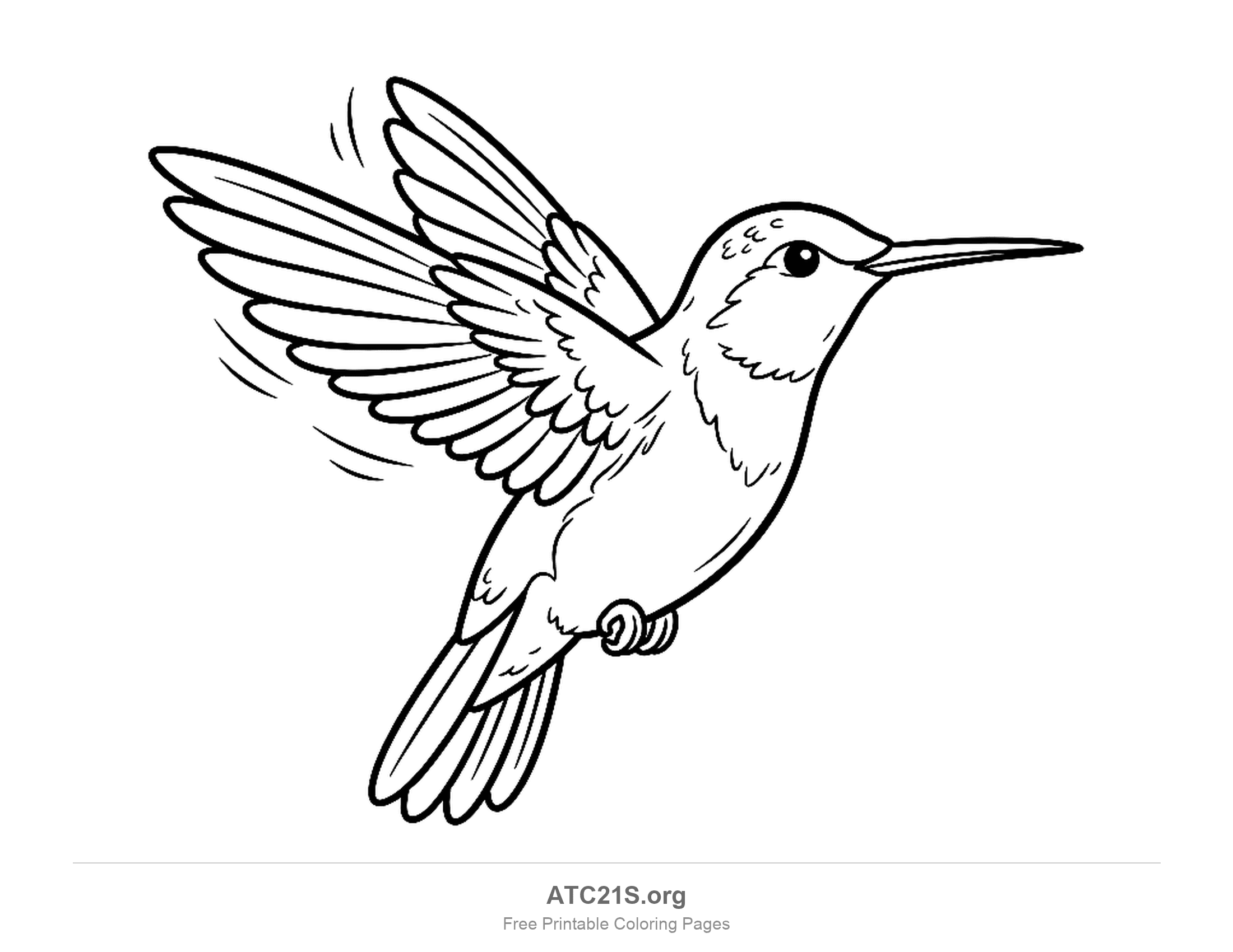 Hummingbird hovering in flight with wings raised, a long thin beak and motion lines, coloring page