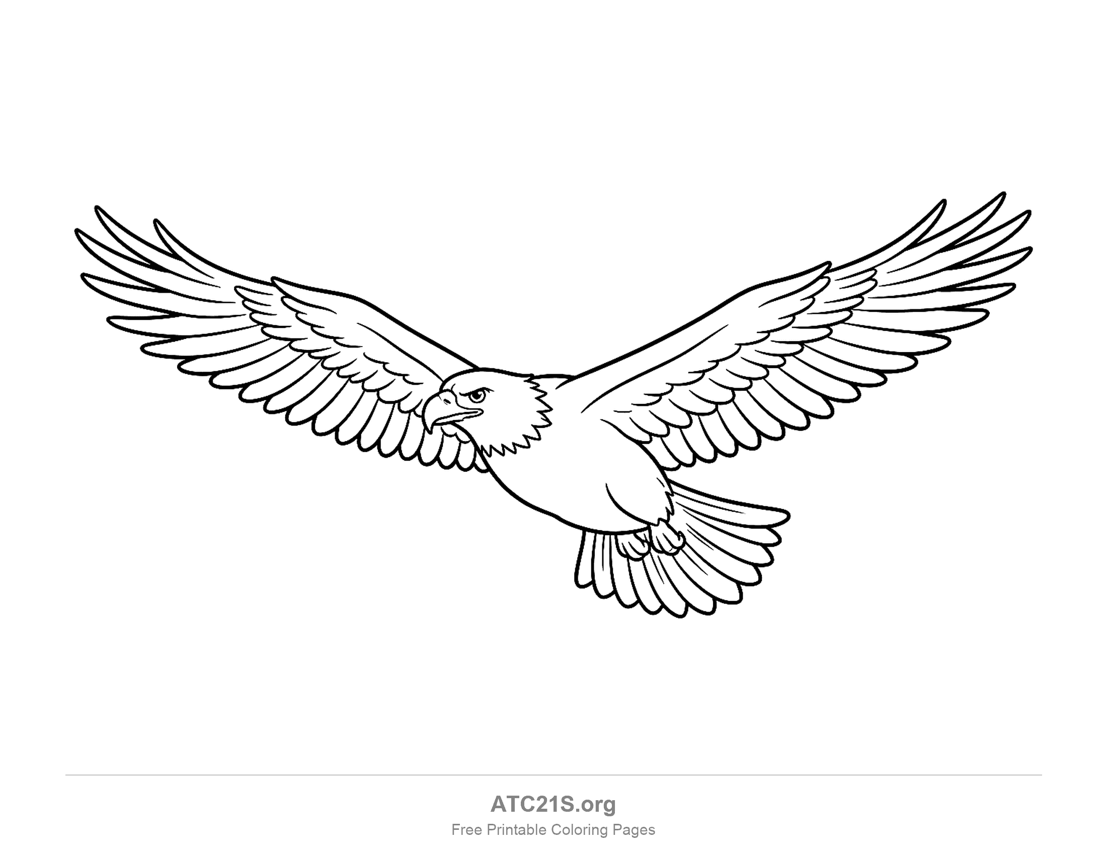 Eagle soaring with both wings fully spread and individual flight feathers drawn in, detailed coloring page