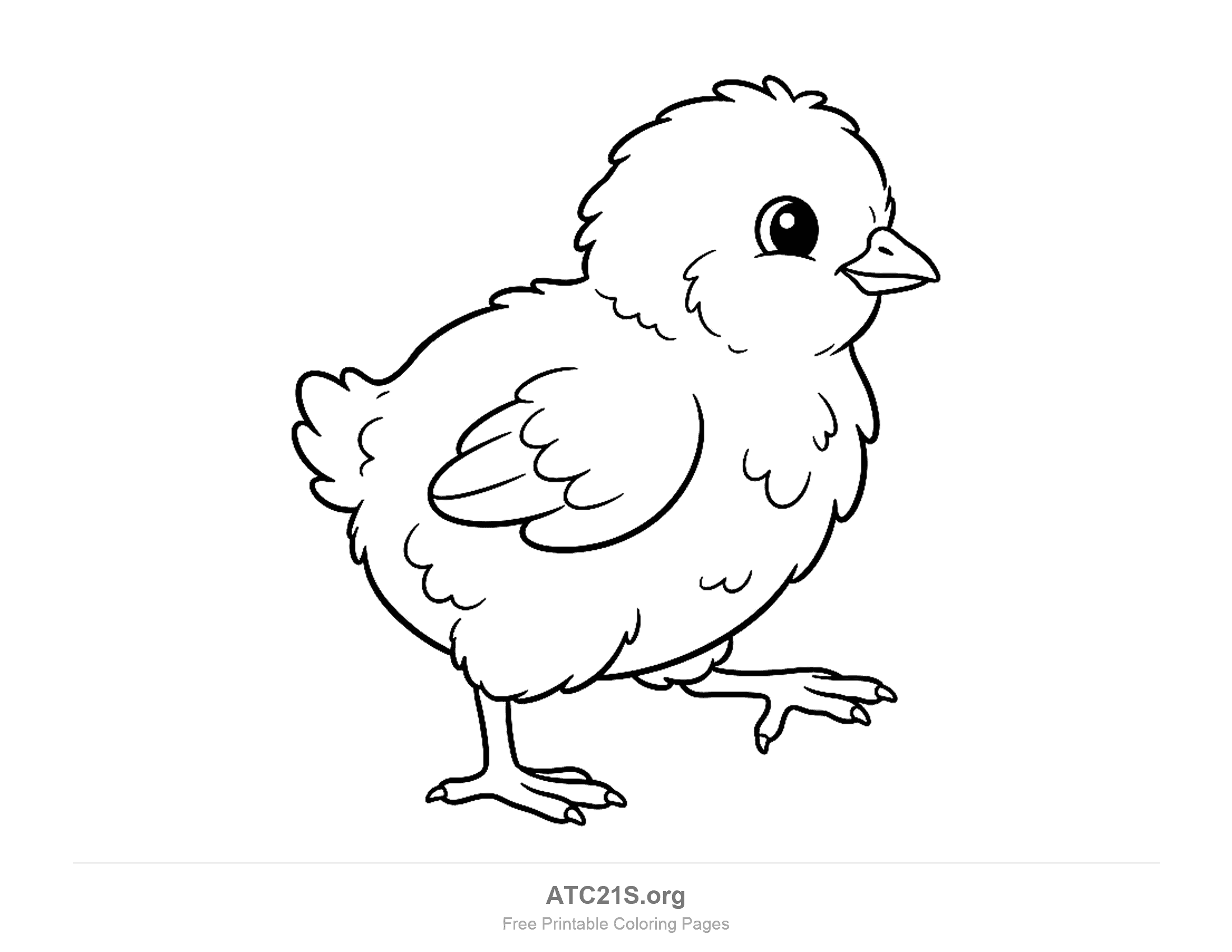 Fluffy chick walking in side view with one foot lifted, a folded wing and downy feathers, printable coloring page
