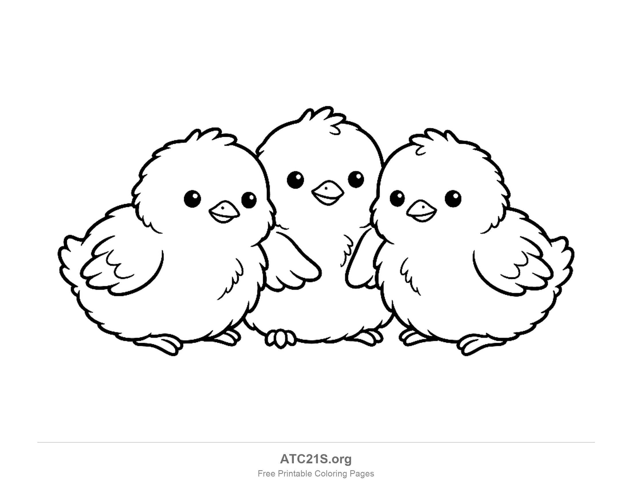 Three fluffy chicks huddled together side by side with wings touching, coloring page