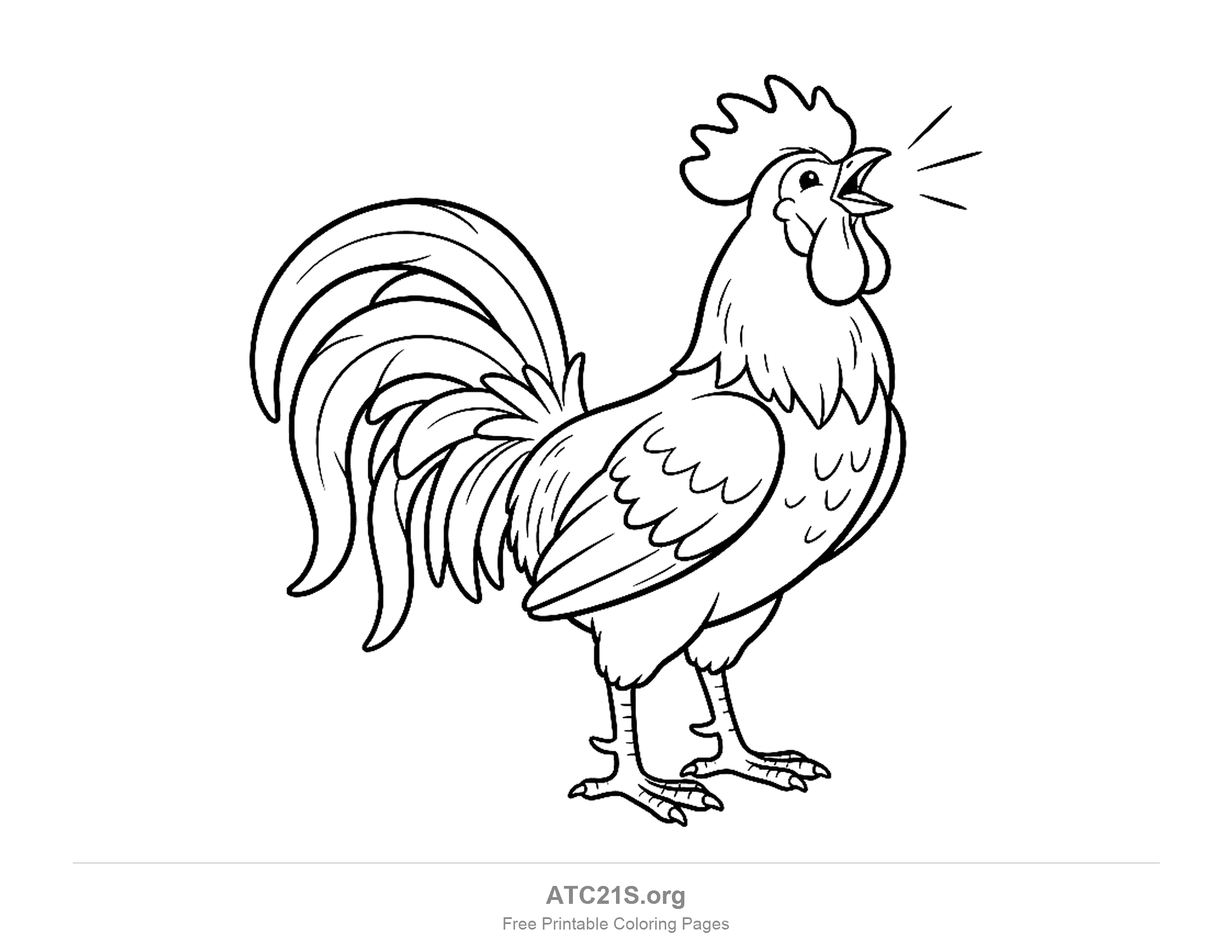 Rooster crowing with its beak open, a tall comb and a long curved tail, coloring page