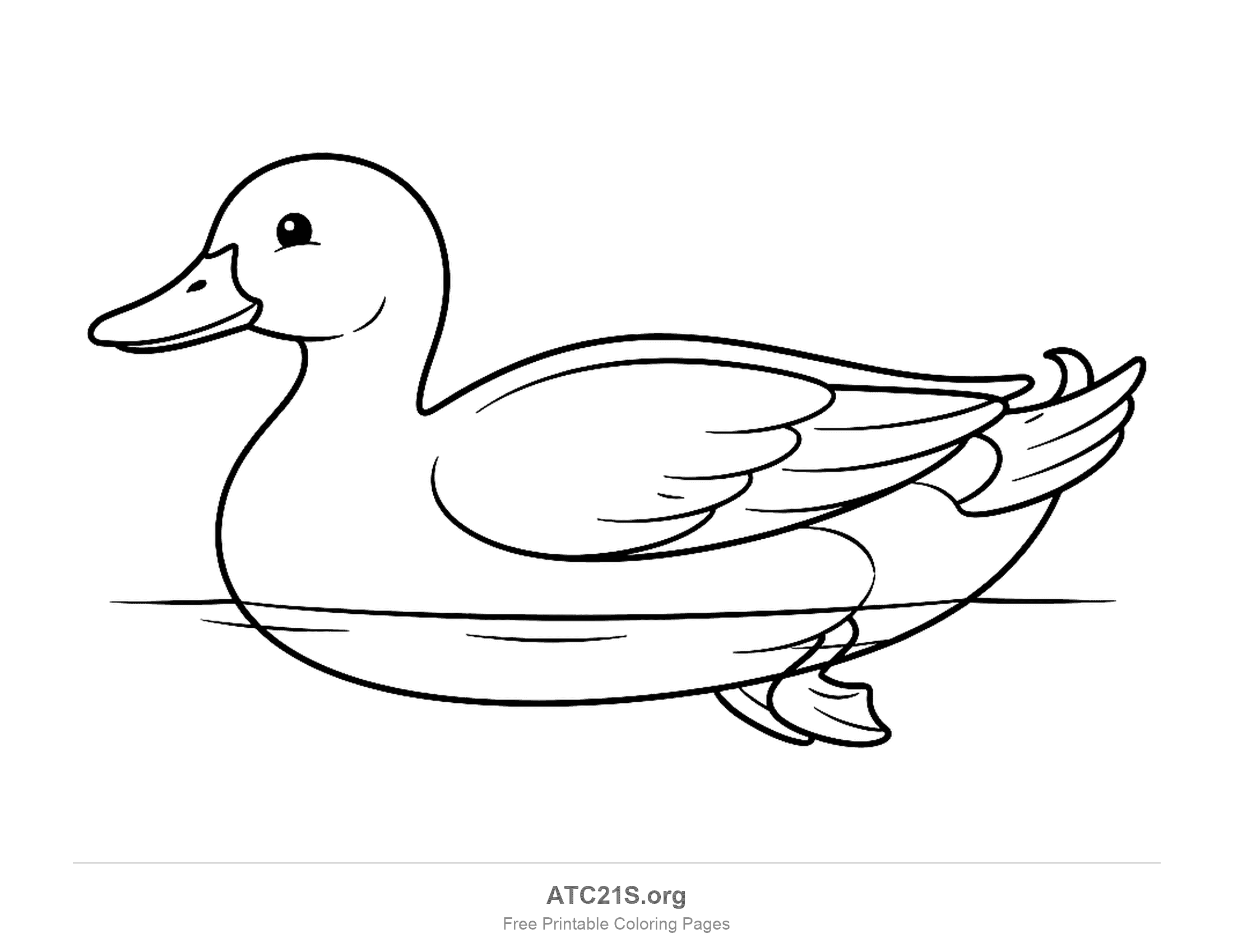 Duck swimming in side profile on a water line with a folded wing, easy coloring page for kids