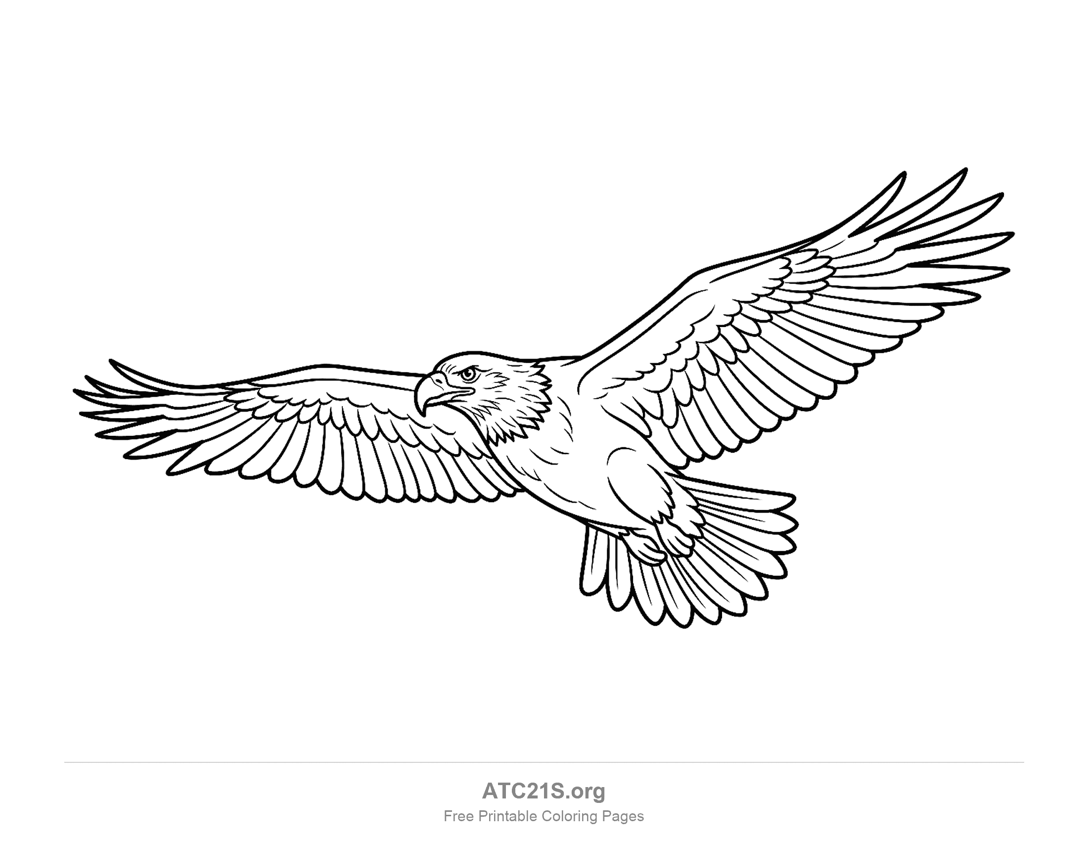 Eagle gliding at a three-quarter angle with tilted wings and a fanned tail, finely detailed coloring page for older kids