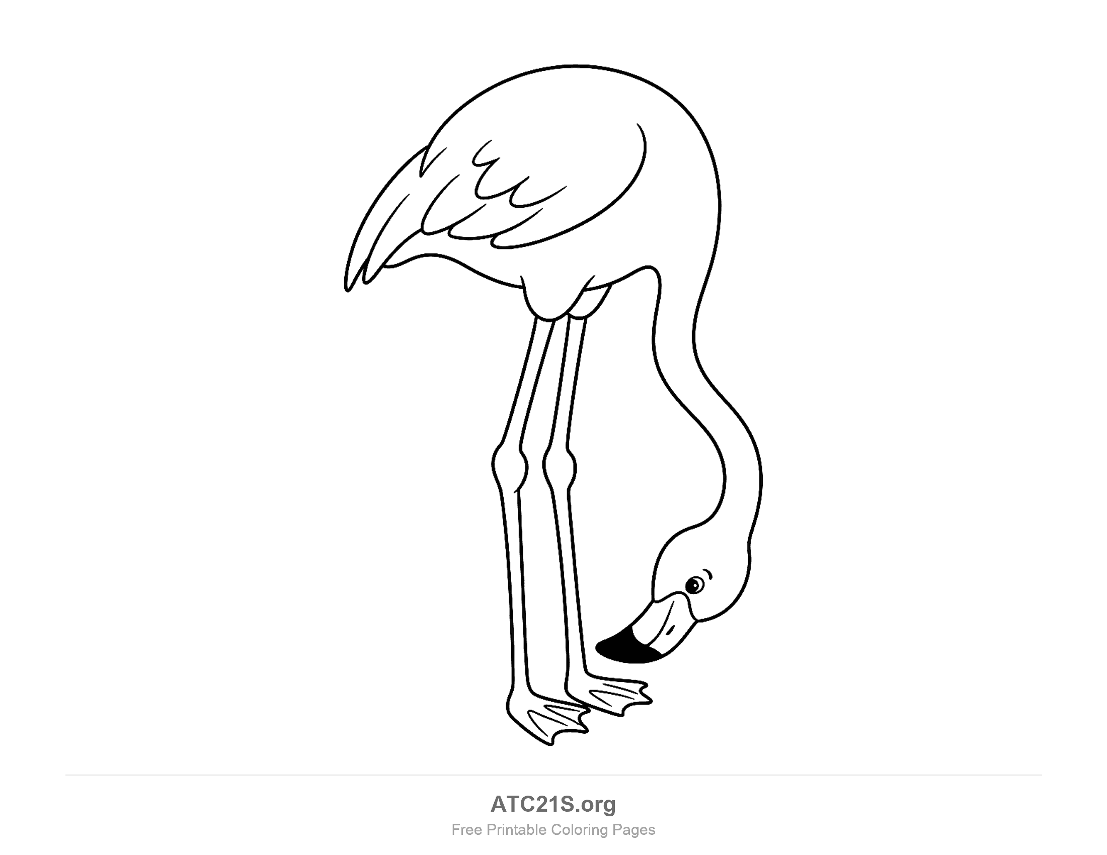 Flamingo coloring page