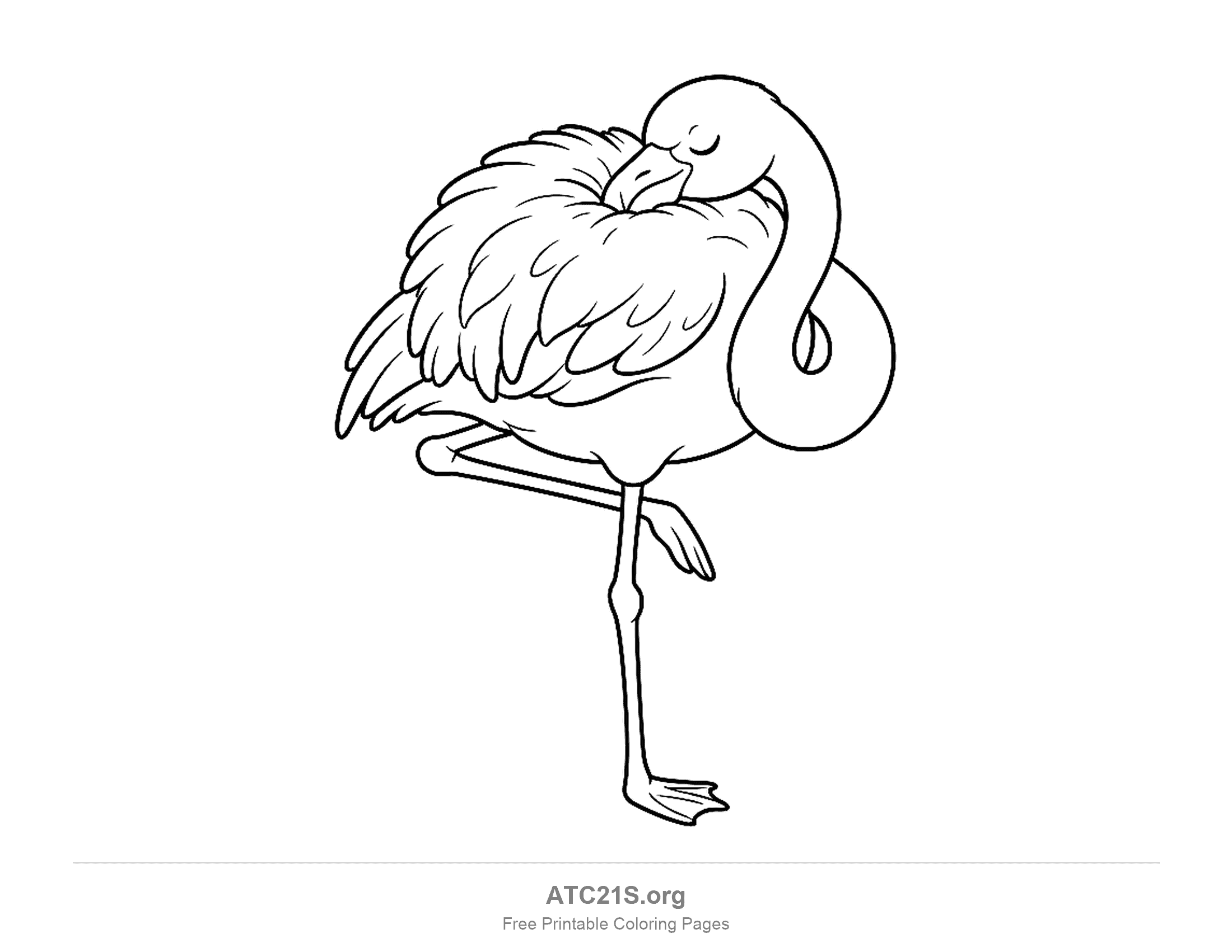 Sleeping flamingo standing on one leg with its head tucked into its back feathers and eyes closed, coloring page