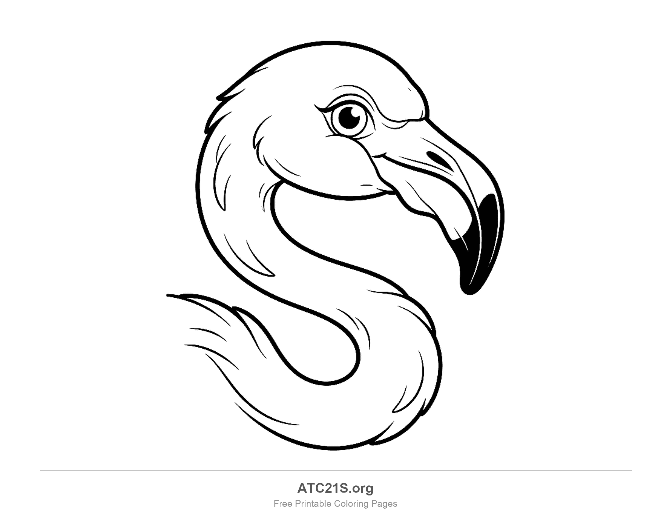 Close-up flamingo head and S-curved neck in profile with a hooked black-tipped beak, detailed coloring page