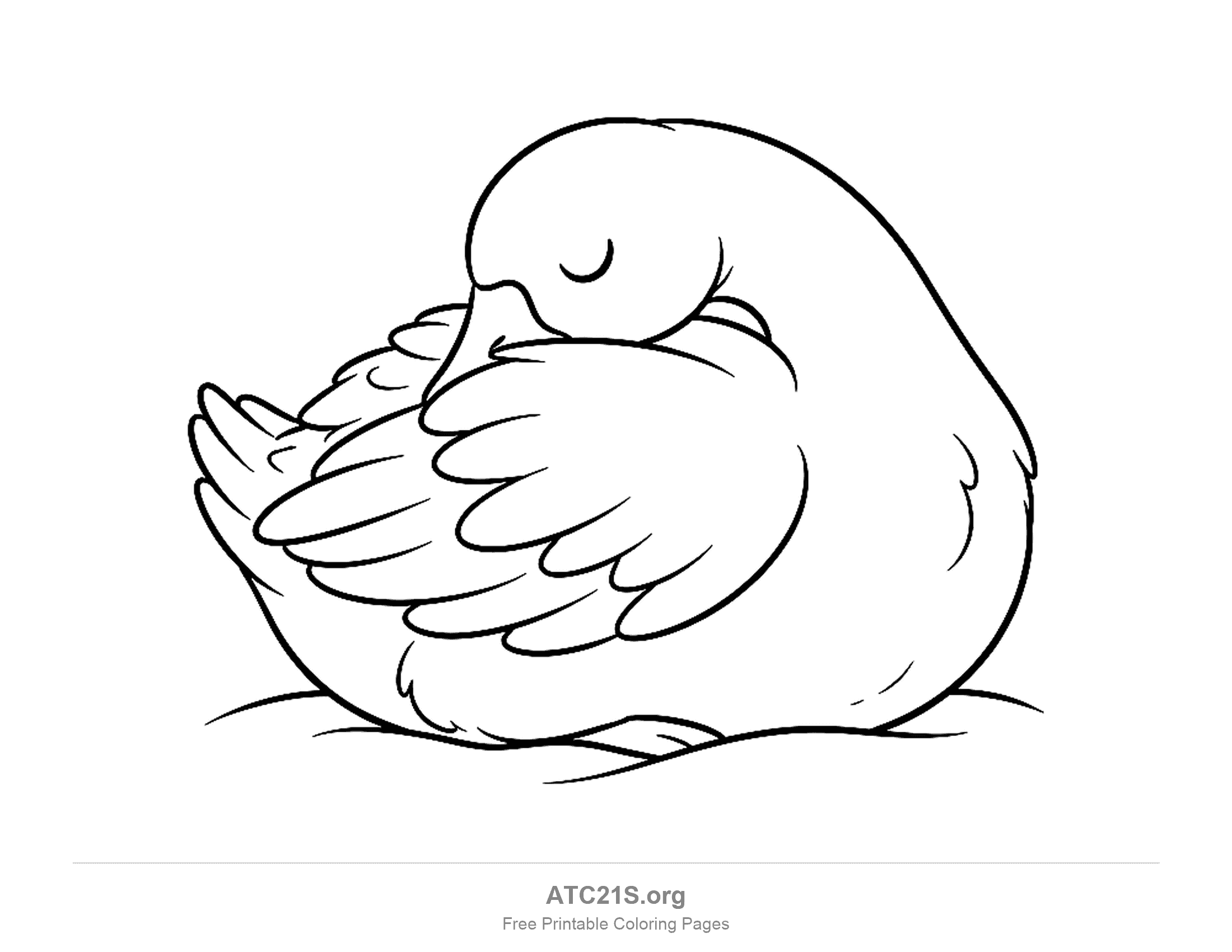 Sleeping goose with its beak tucked into its wing, closed eyes and a few ground lines, printable coloring page
