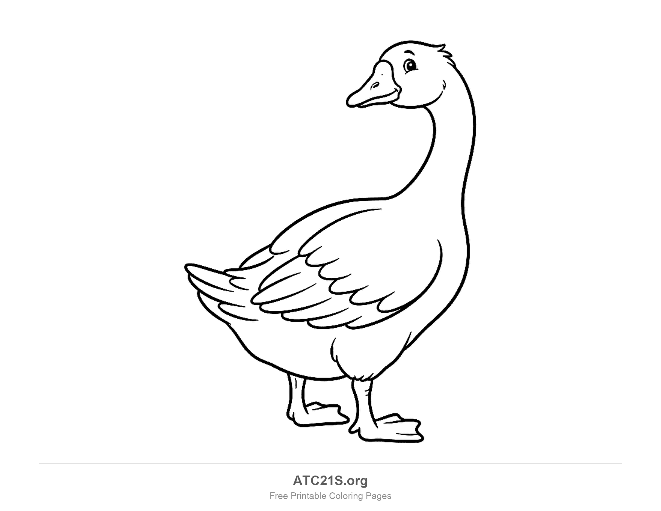 Goose standing and looking back over its shoulder, with layered wing feathers and webbed feet, coloring page to print