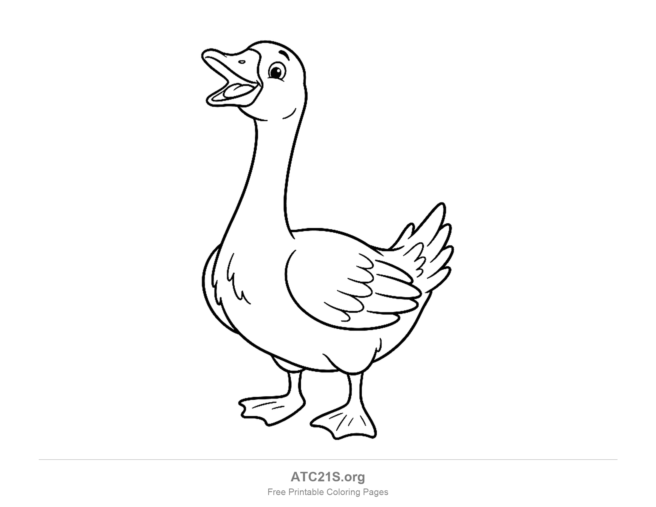 Goose standing with its beak wide open as if honking, layered wing feathers and a few chest marks, coloring page