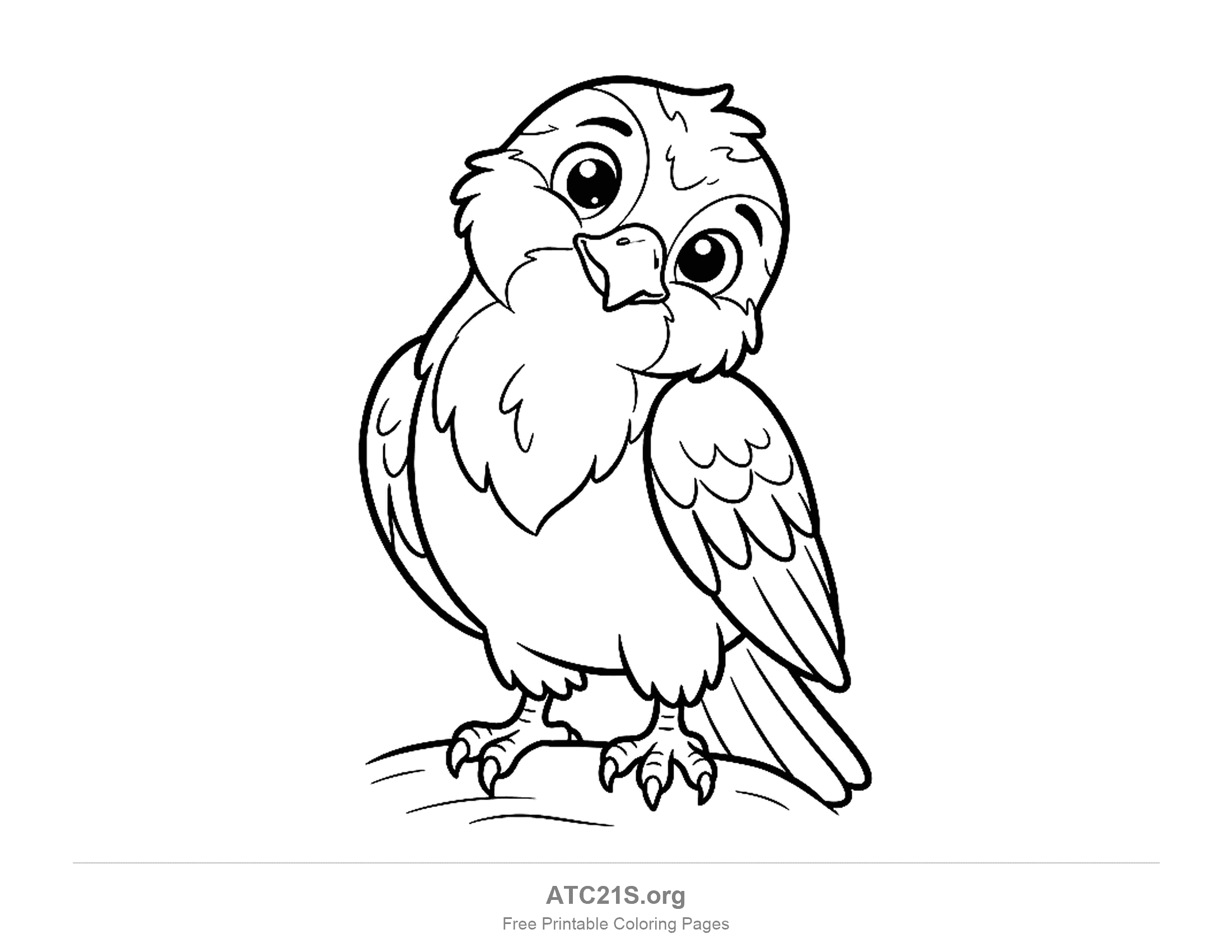 Cute cartoon hawk perched on a branch with its head tilted, big round eyes looking up and a small hooked beak, simple coloring page for preschoolers