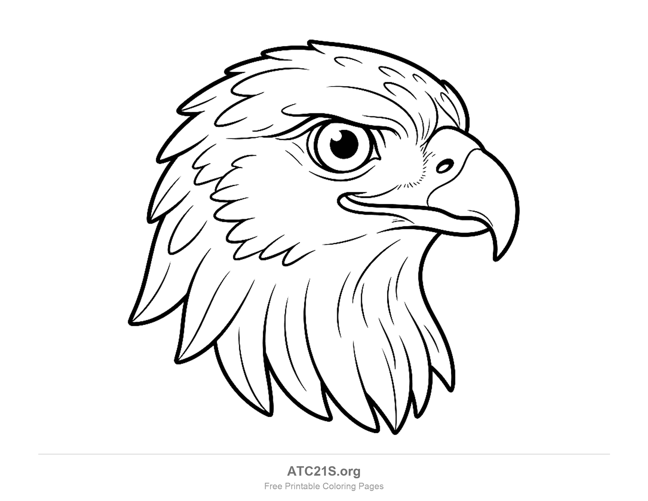 Close-up hawk head in profile with a large hooked beak, a round eye and many overlapping neck feathers, detailed coloring page