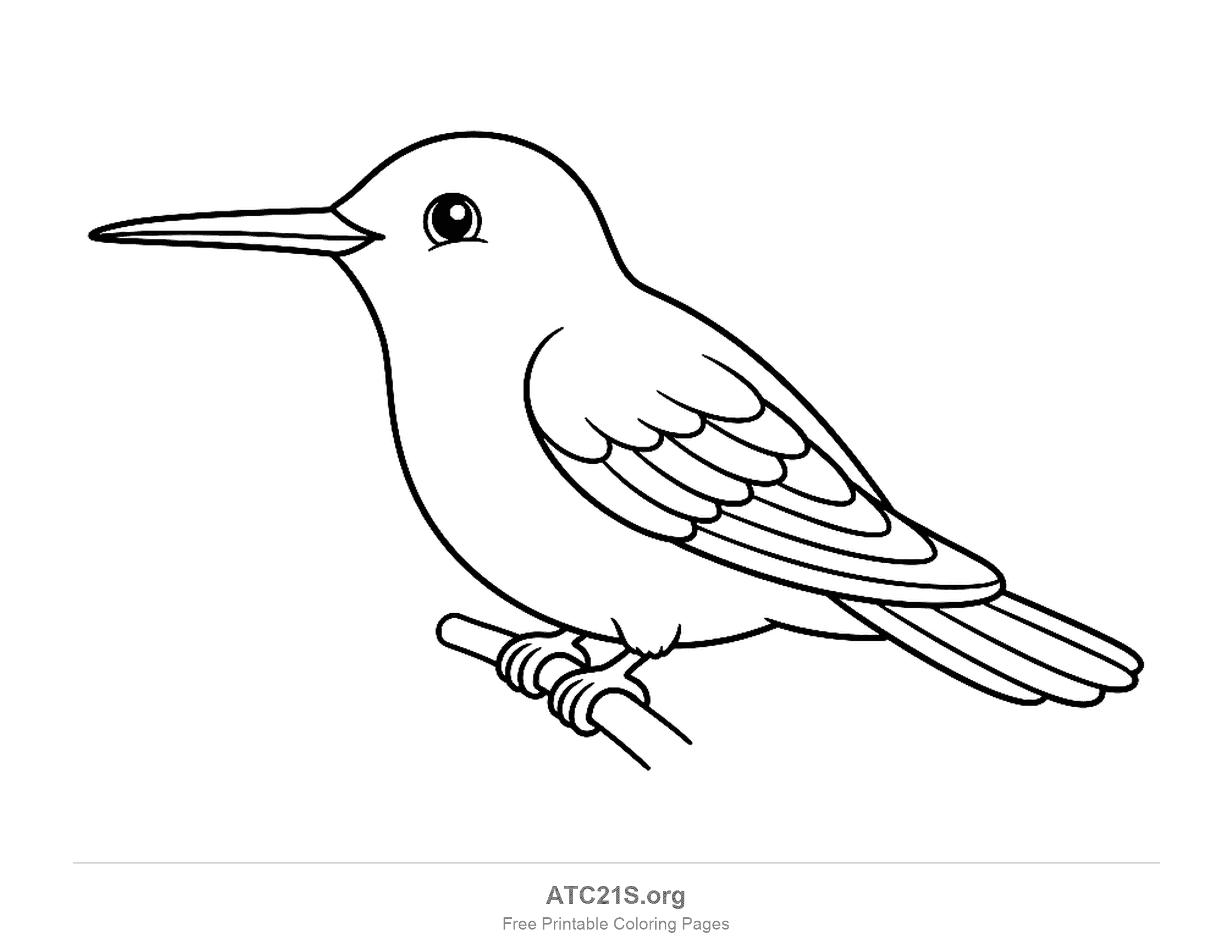 Hummingbird coloring page