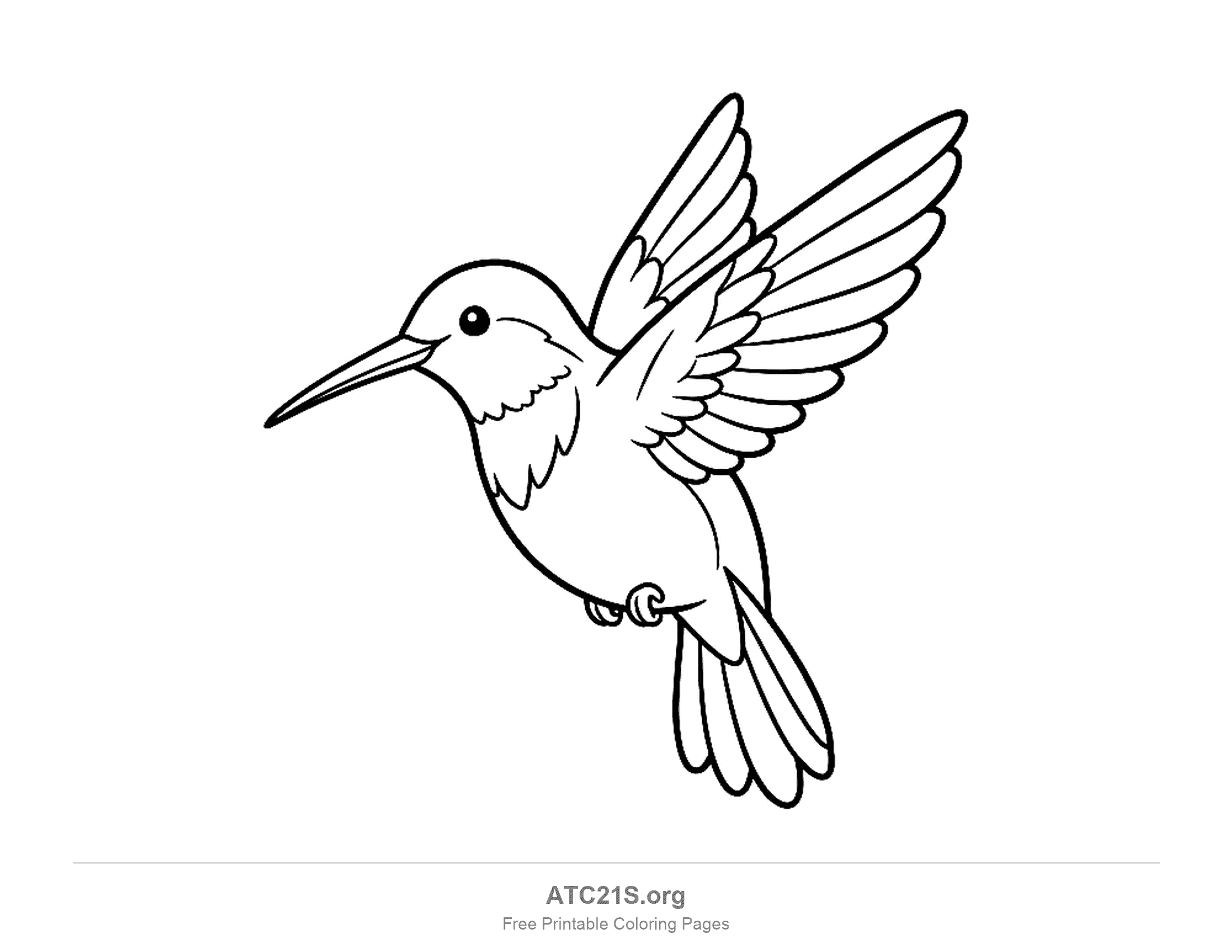 Hummingbird hovering in side view with wings raised, a long thin beak and a round body, printable coloring page