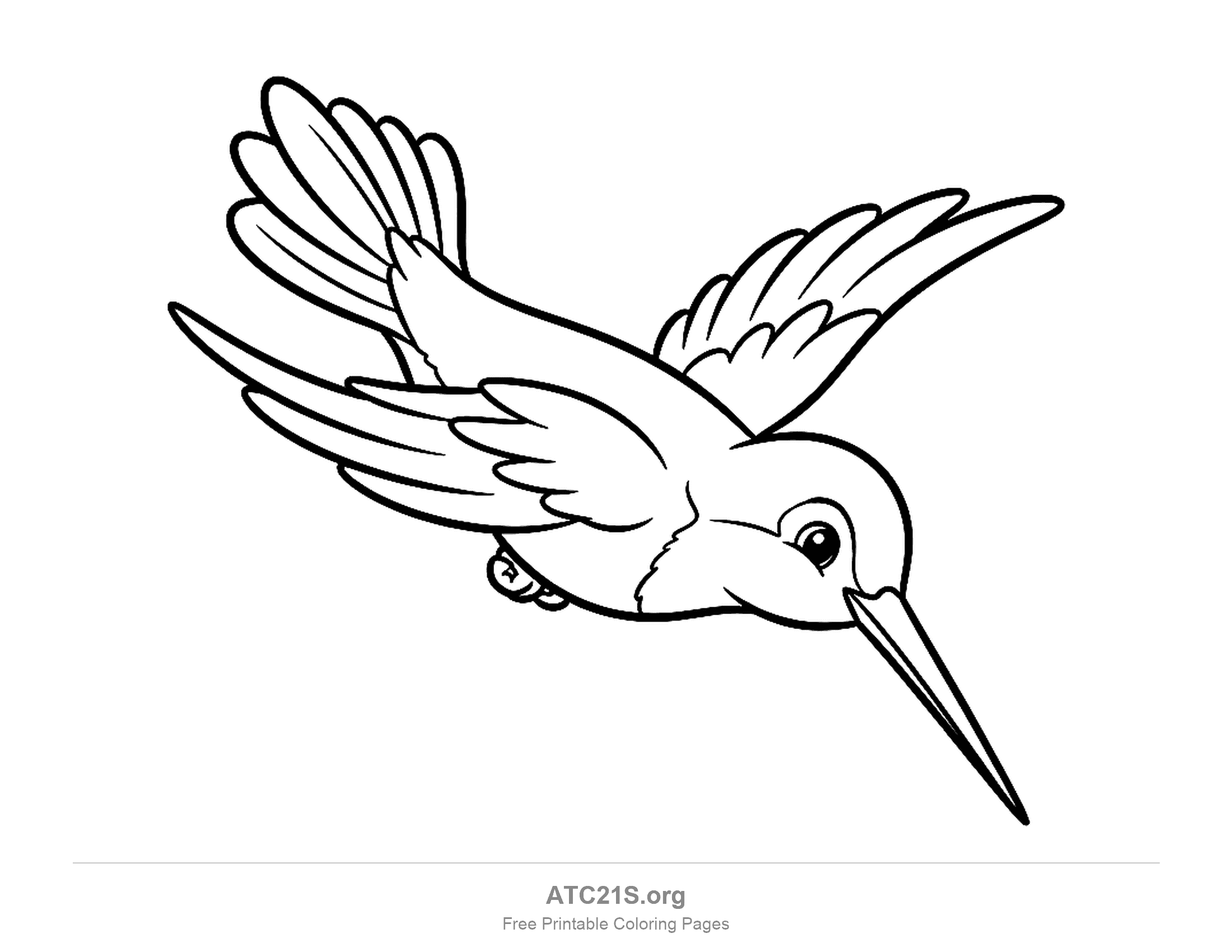 Hummingbird diving downward with wings swept back and a long pointed beak, coloring page to print