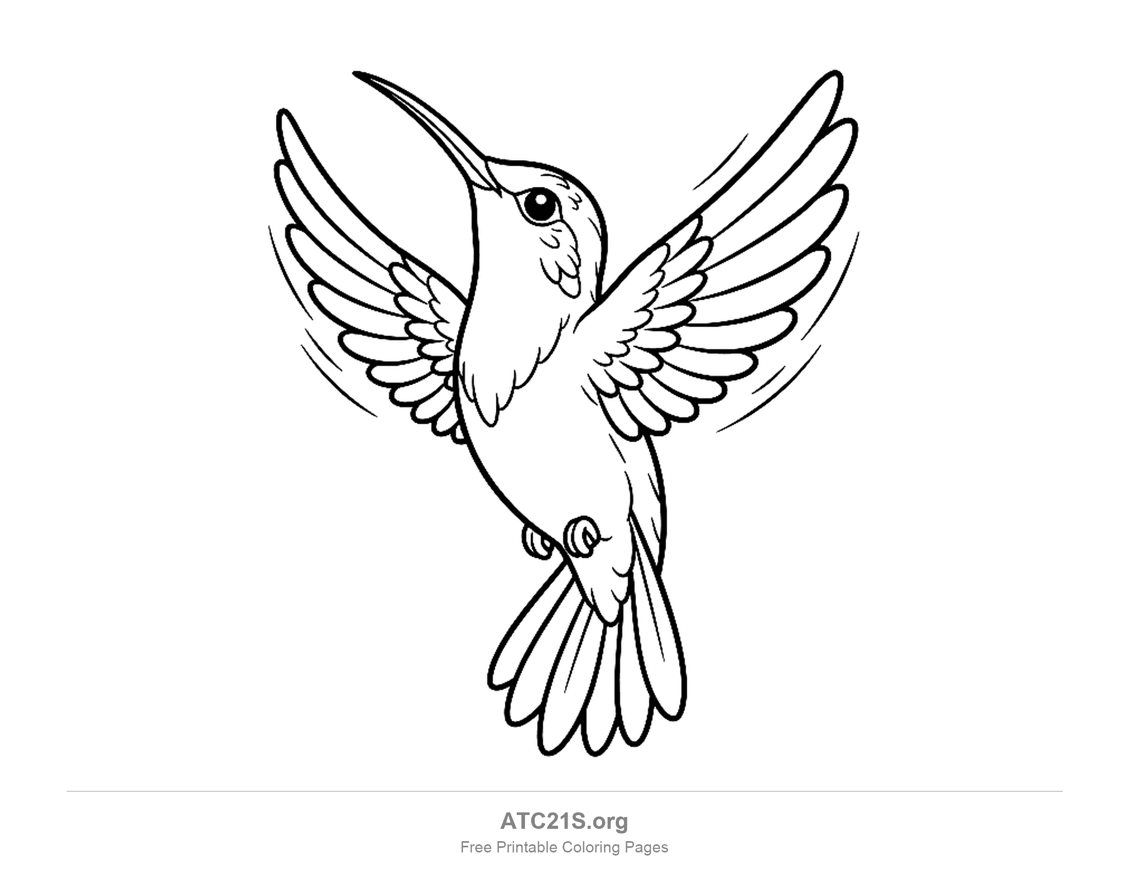 Hummingbird hovering with its beak pointed upward, wings spread and motion lines, coloring page