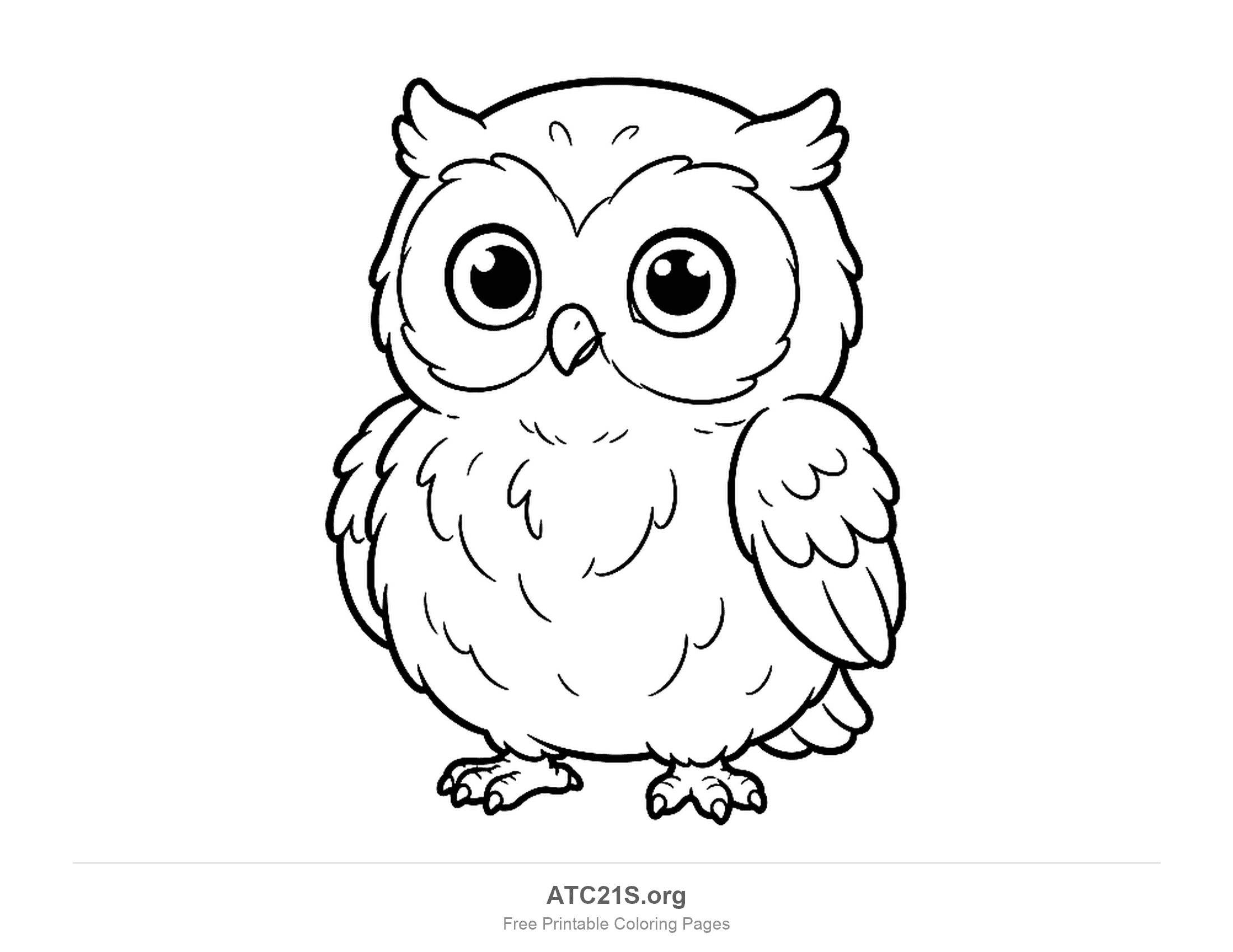 Owl coloring page