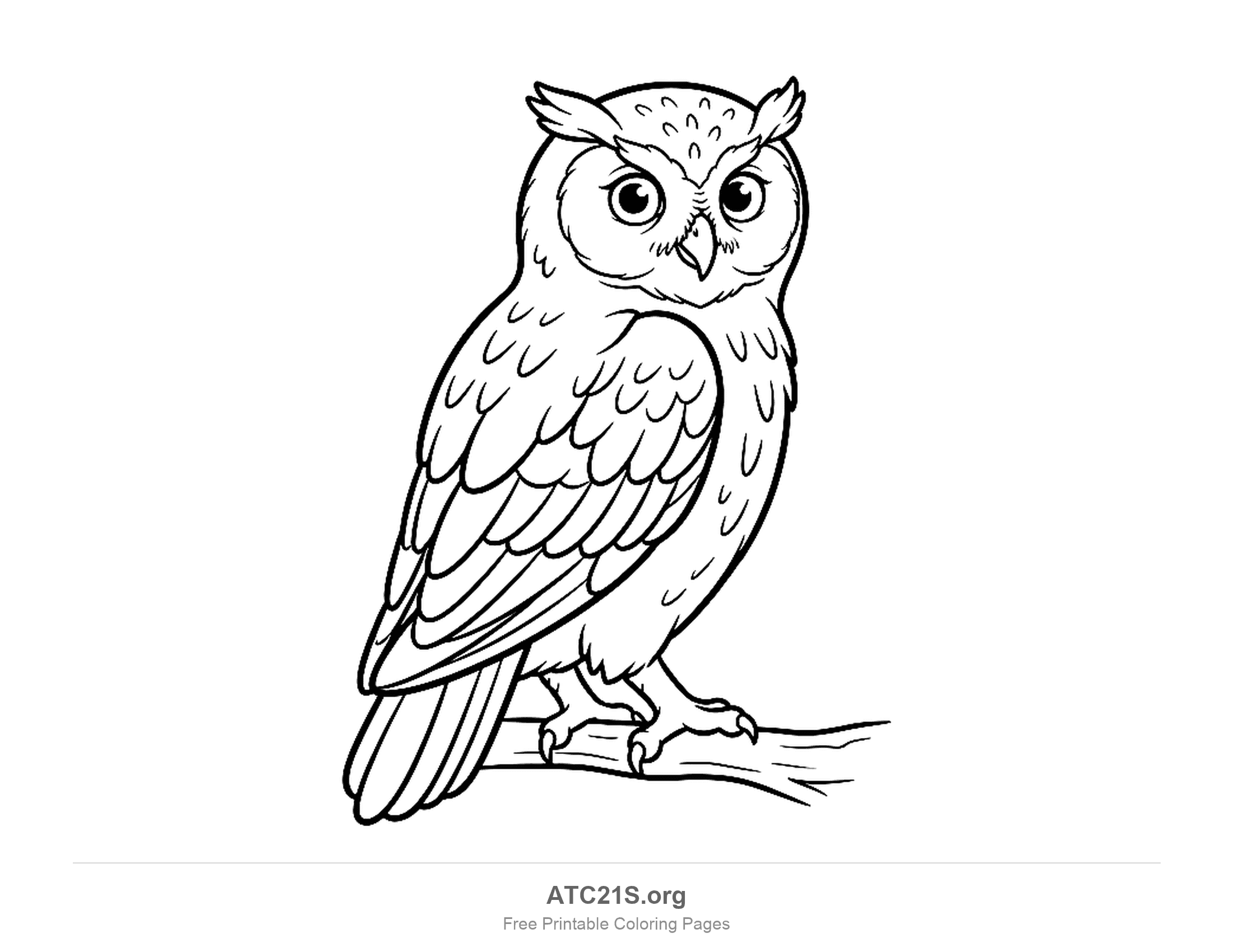 Owl perched on a branch in side view with its head turned toward the viewer, coloring page to print