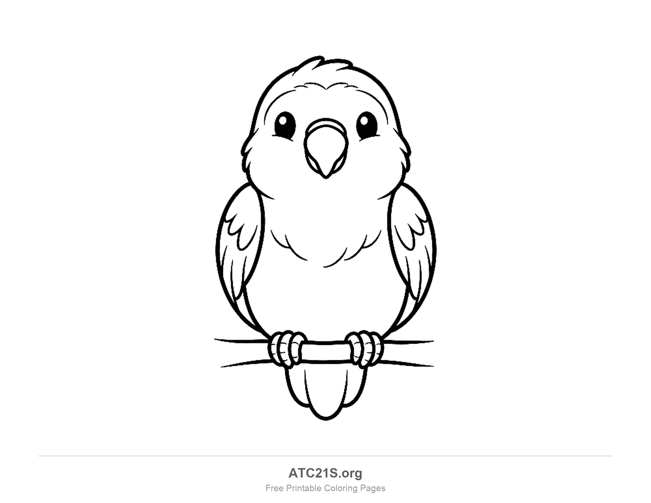 Parrot coloring page