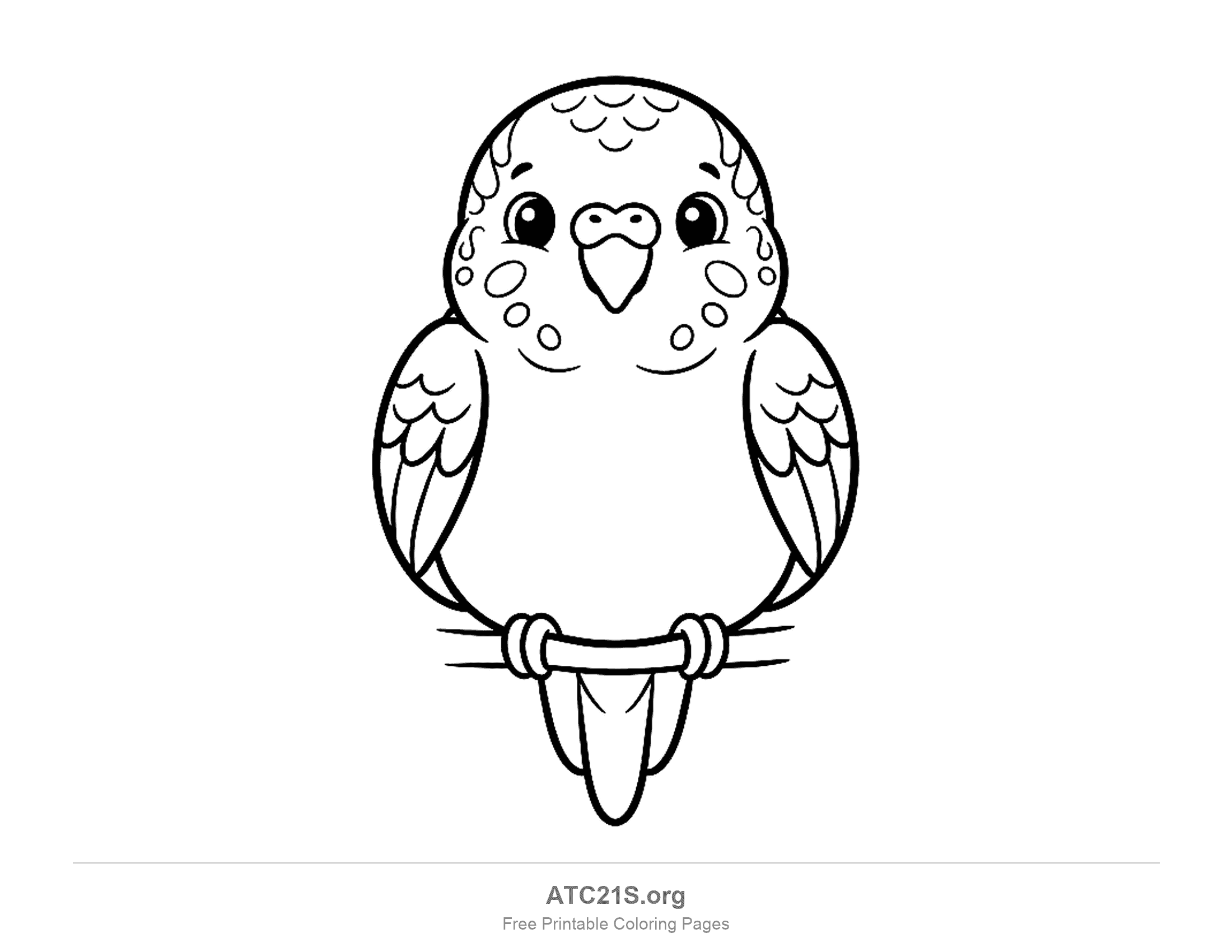 Chubby front-facing parrot perched with cheek spots, scalloped head feathers and a smile, simple coloring page for preschoolers