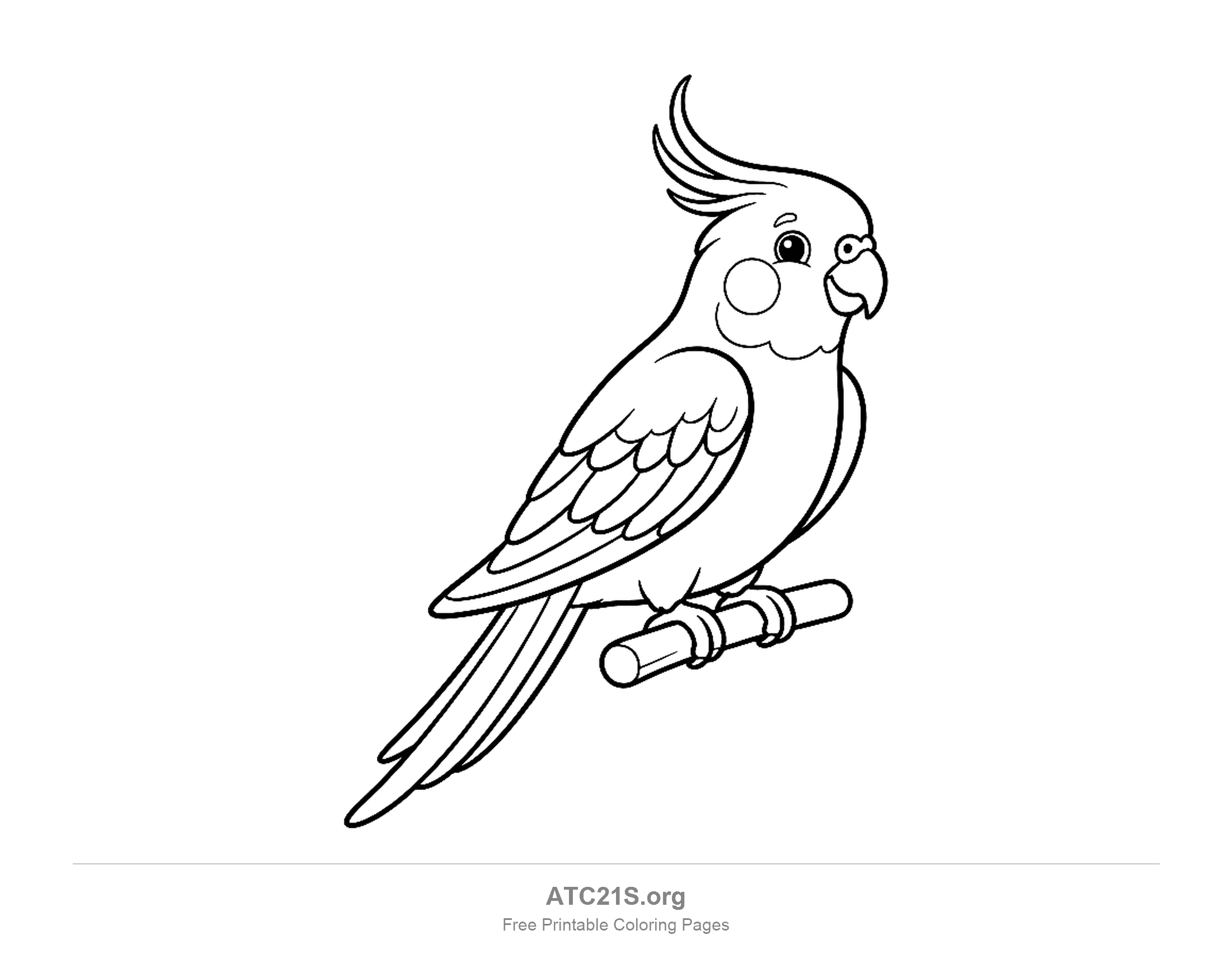 Crested parrot perched in side view on a perch with a curved crest, round cheek and a long tail, easy coloring page for kids